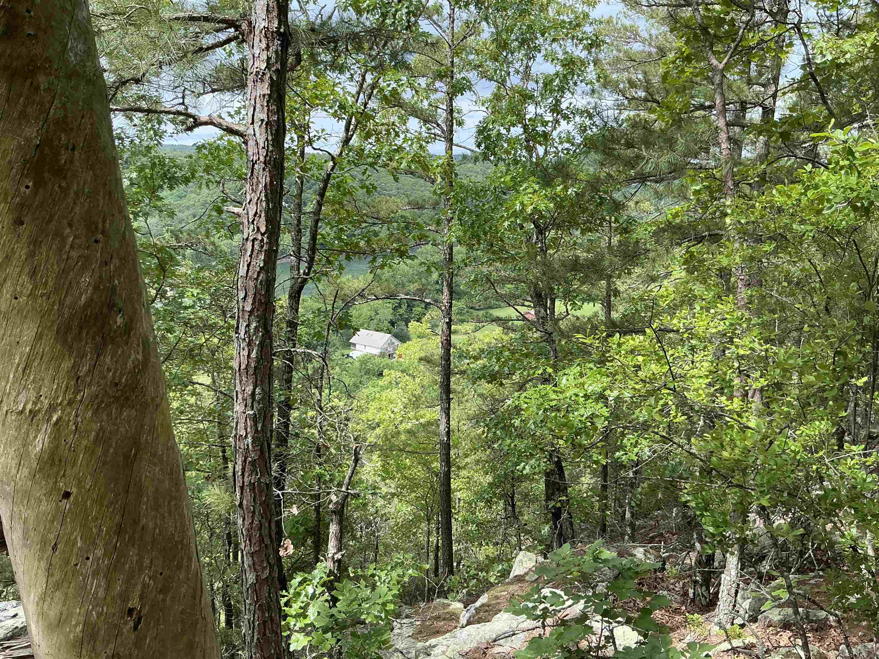 0  Woods Road  Melbourne, AR