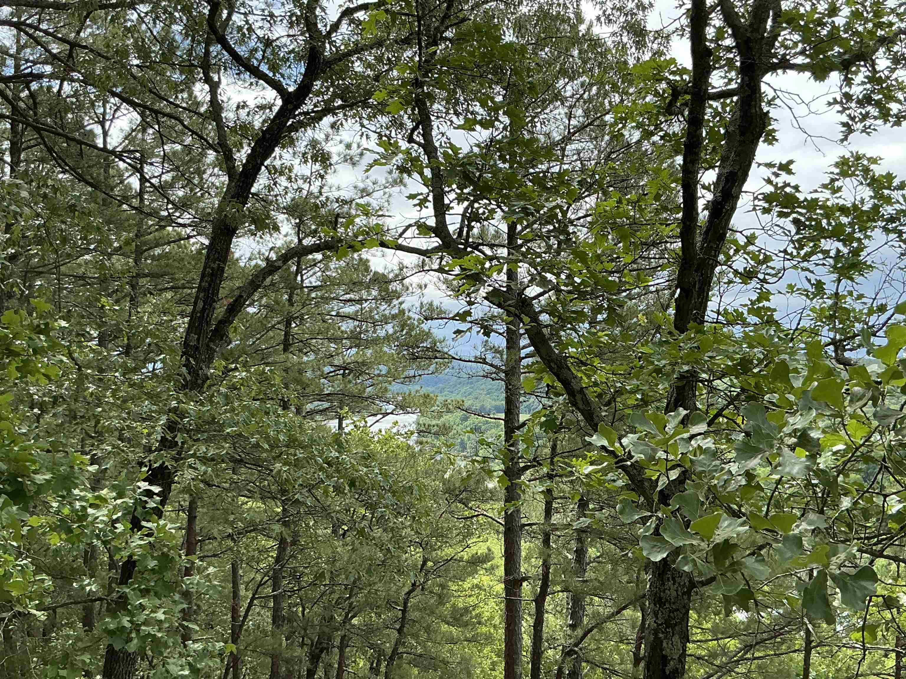0  Woods Road  Melbourne, AR