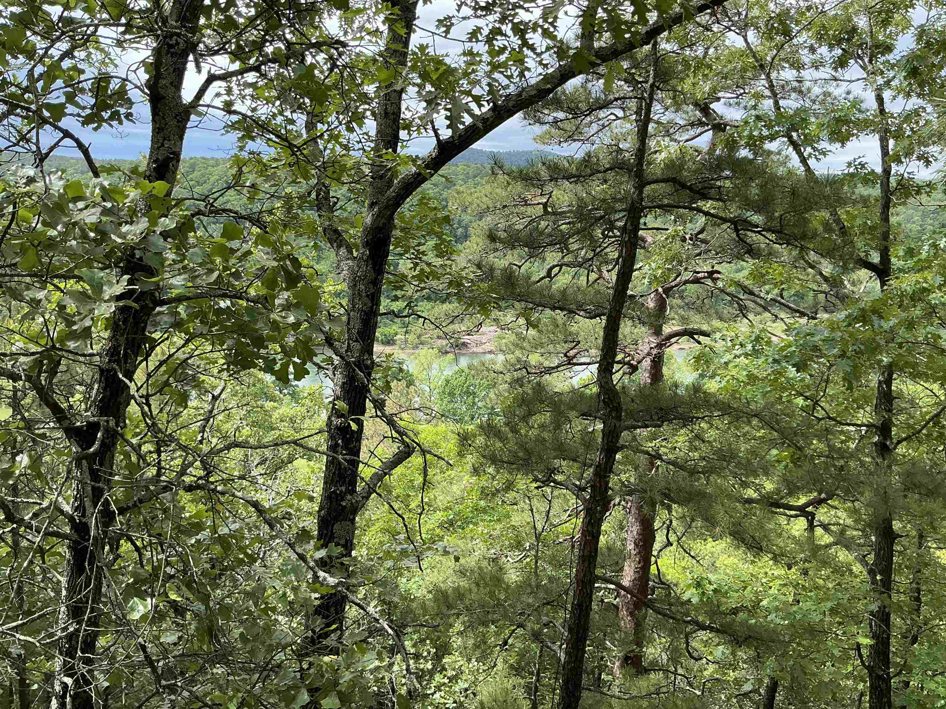 0  Woods Road  Melbourne, AR