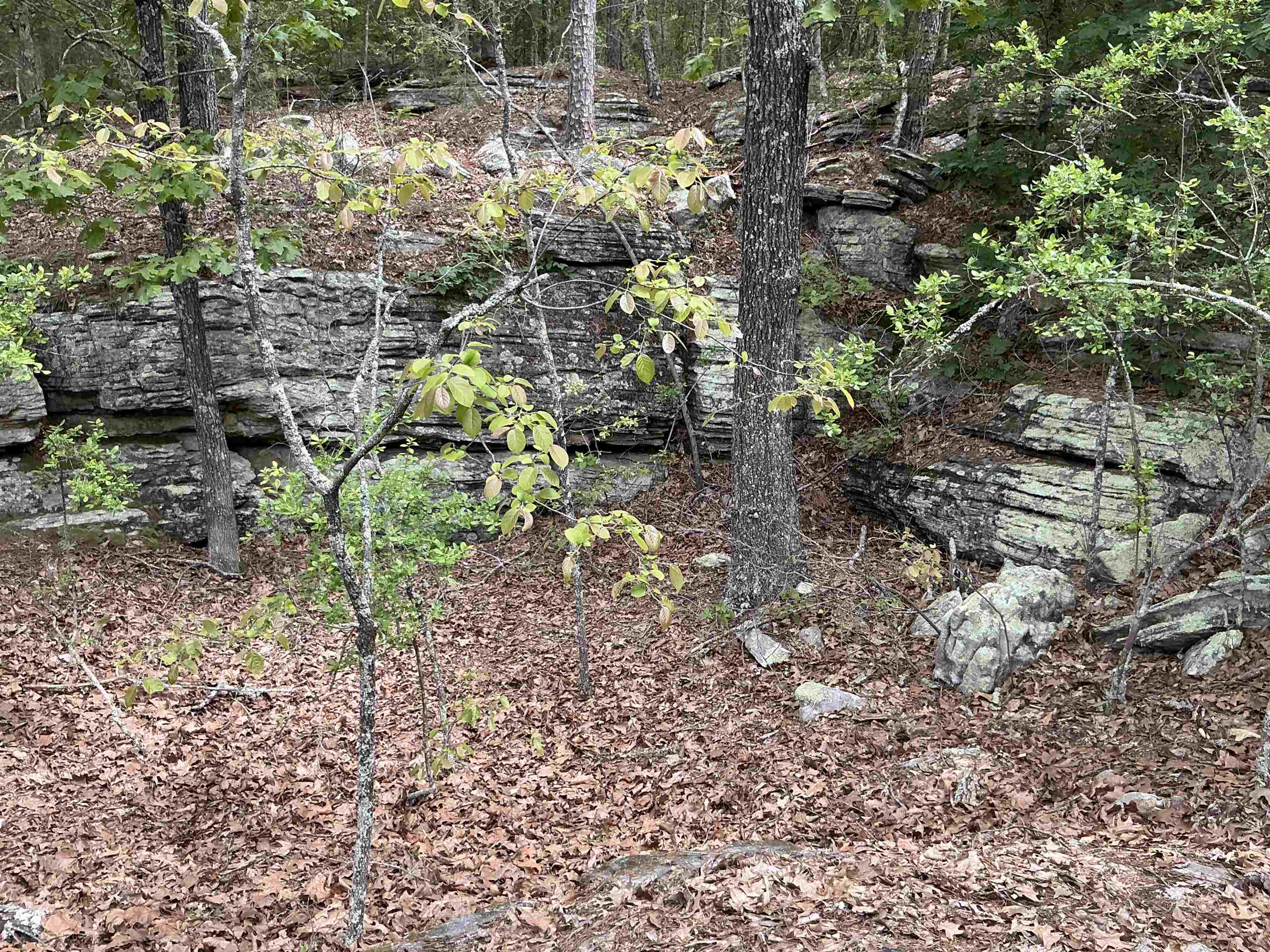 0  Woods Road  Melbourne, AR