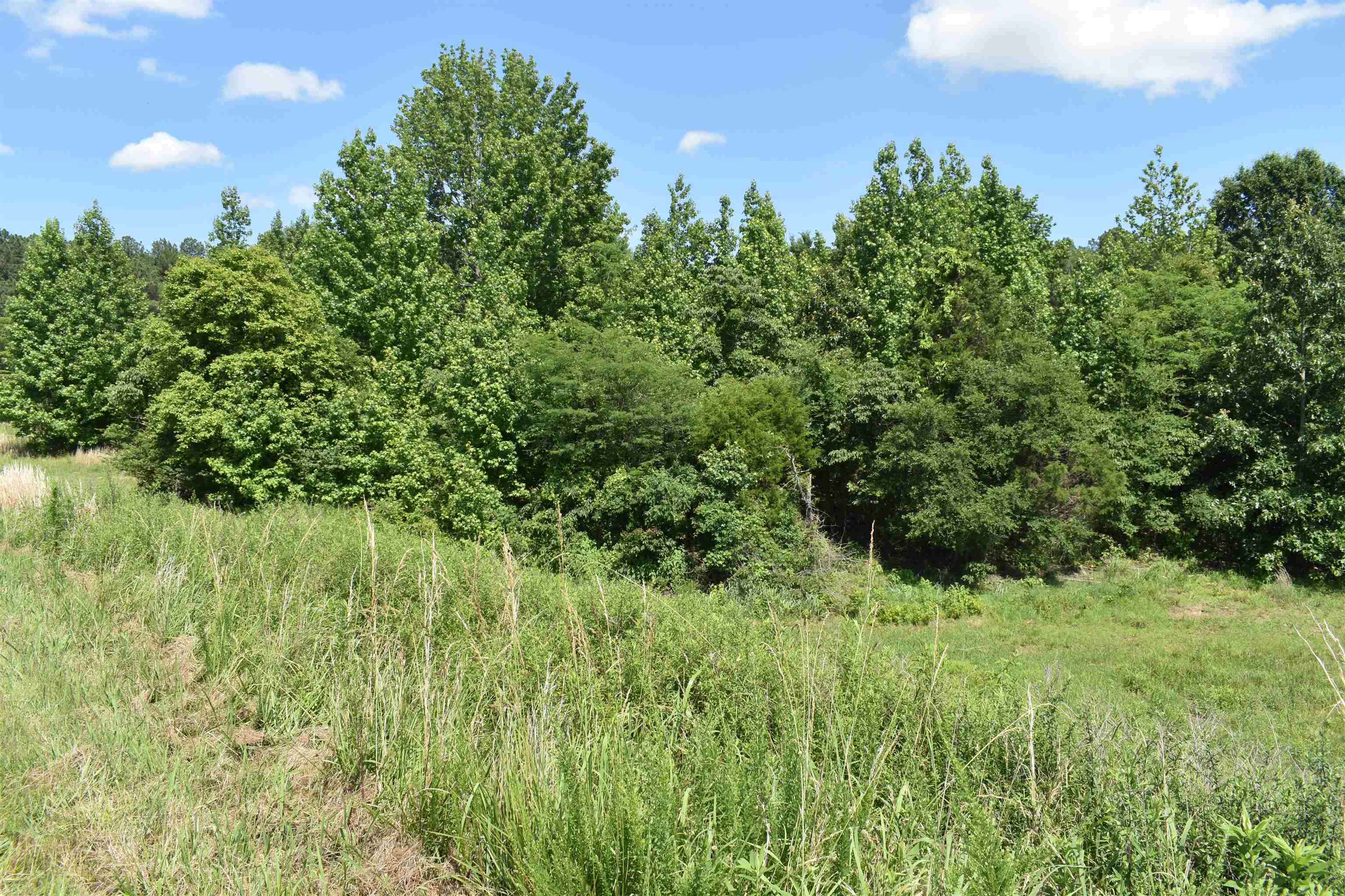 86 Casey Springs  Jonesboro, AR