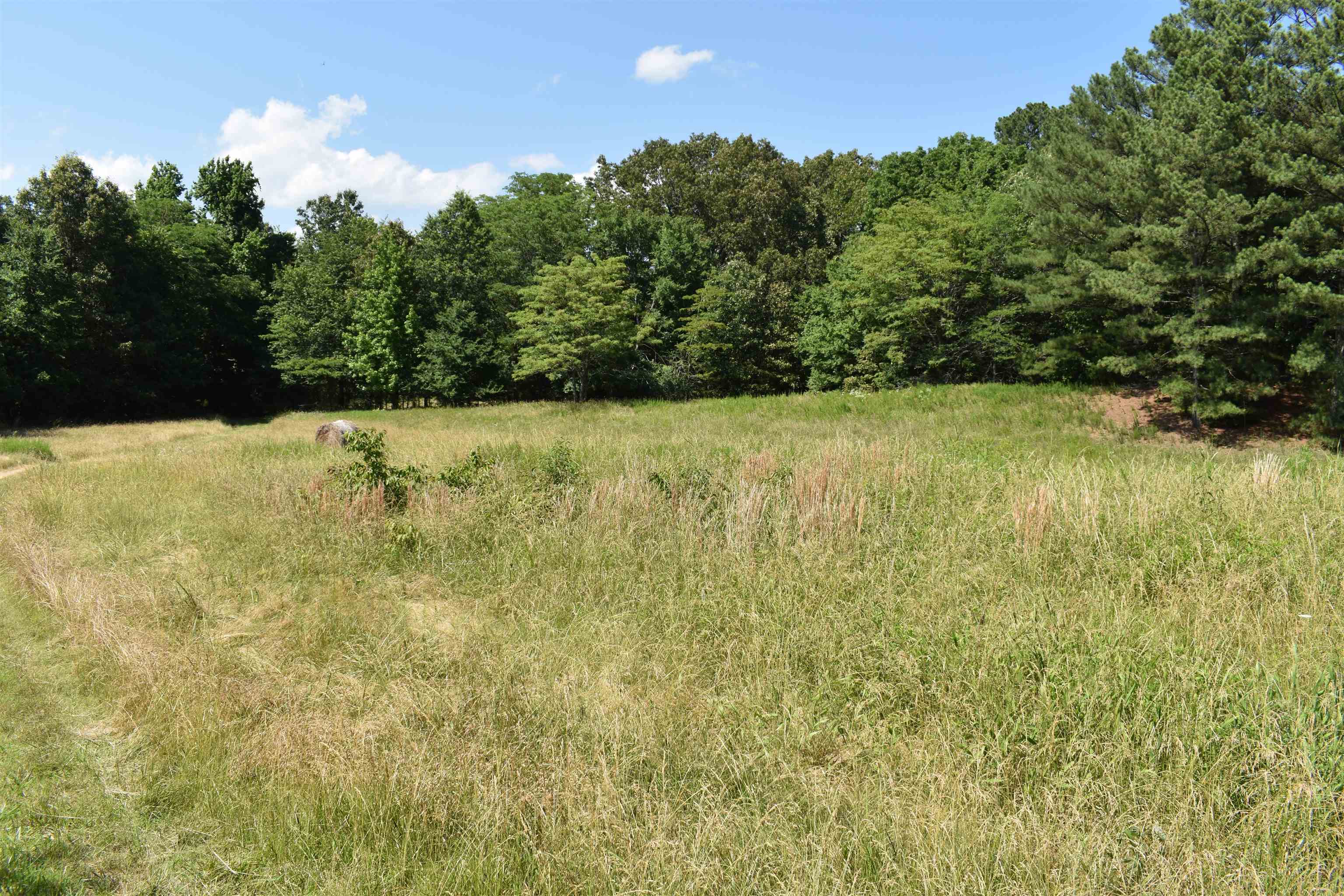 86 Casey Springs  Jonesboro, AR
