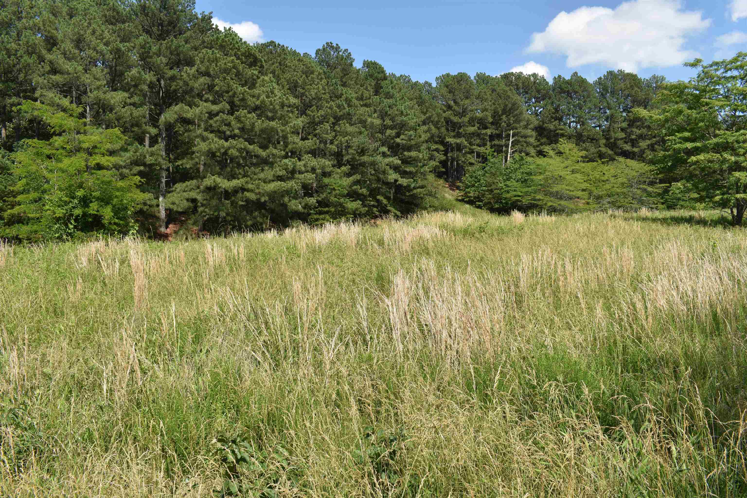 86 Casey Springs  Jonesboro, AR