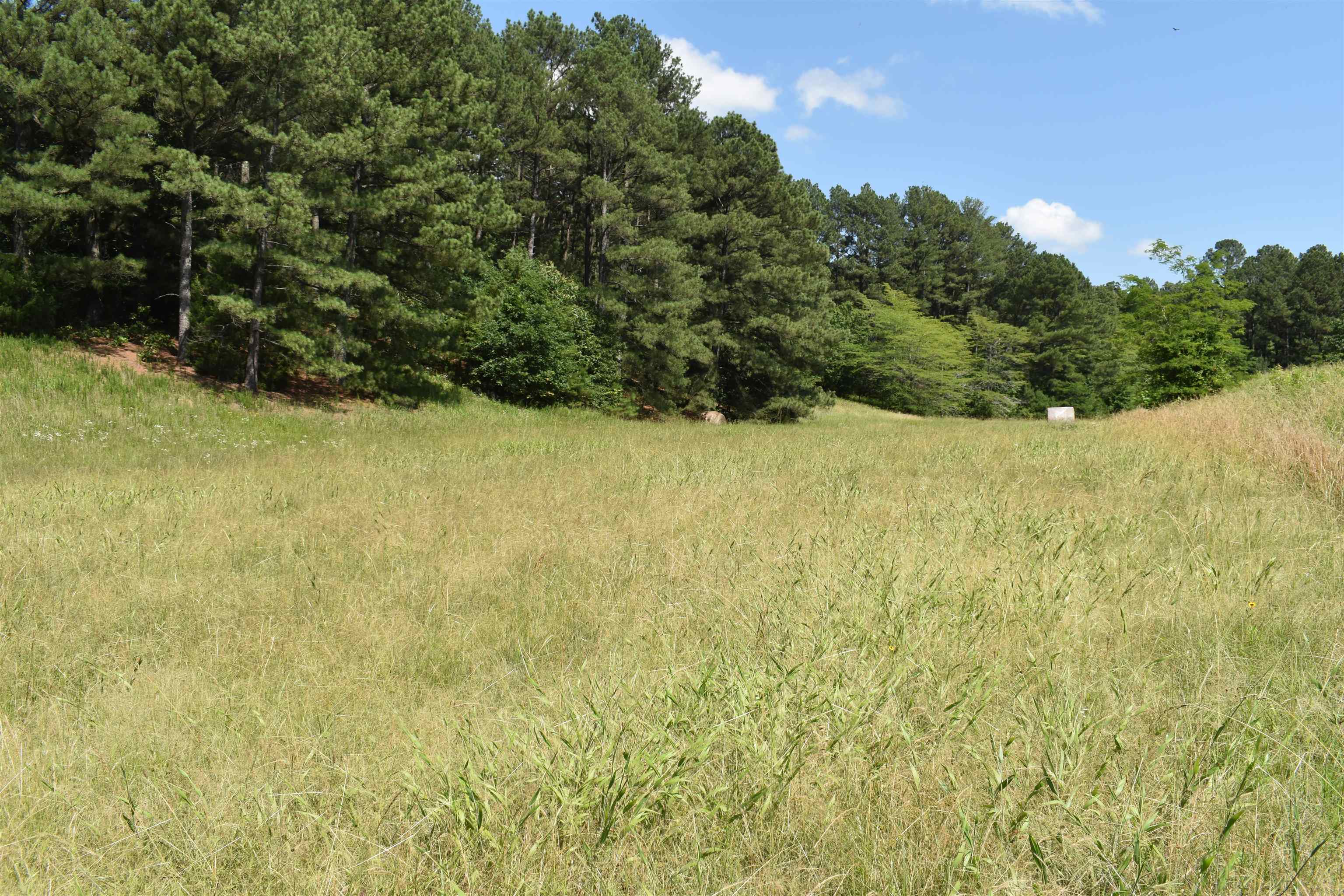 86 Casey Springs  Jonesboro, AR