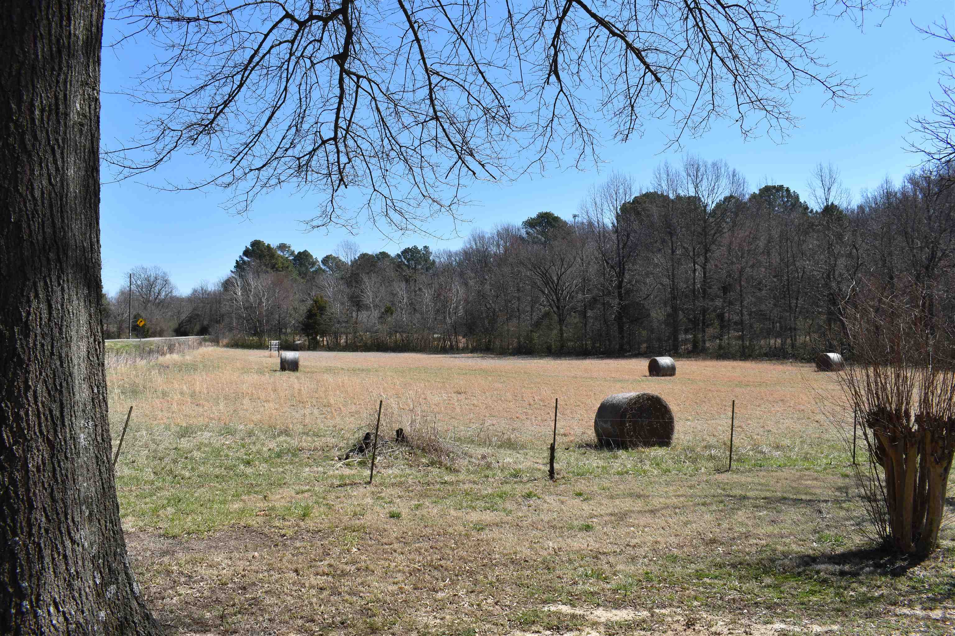 86  Casey Springs  Jonesboro, AR