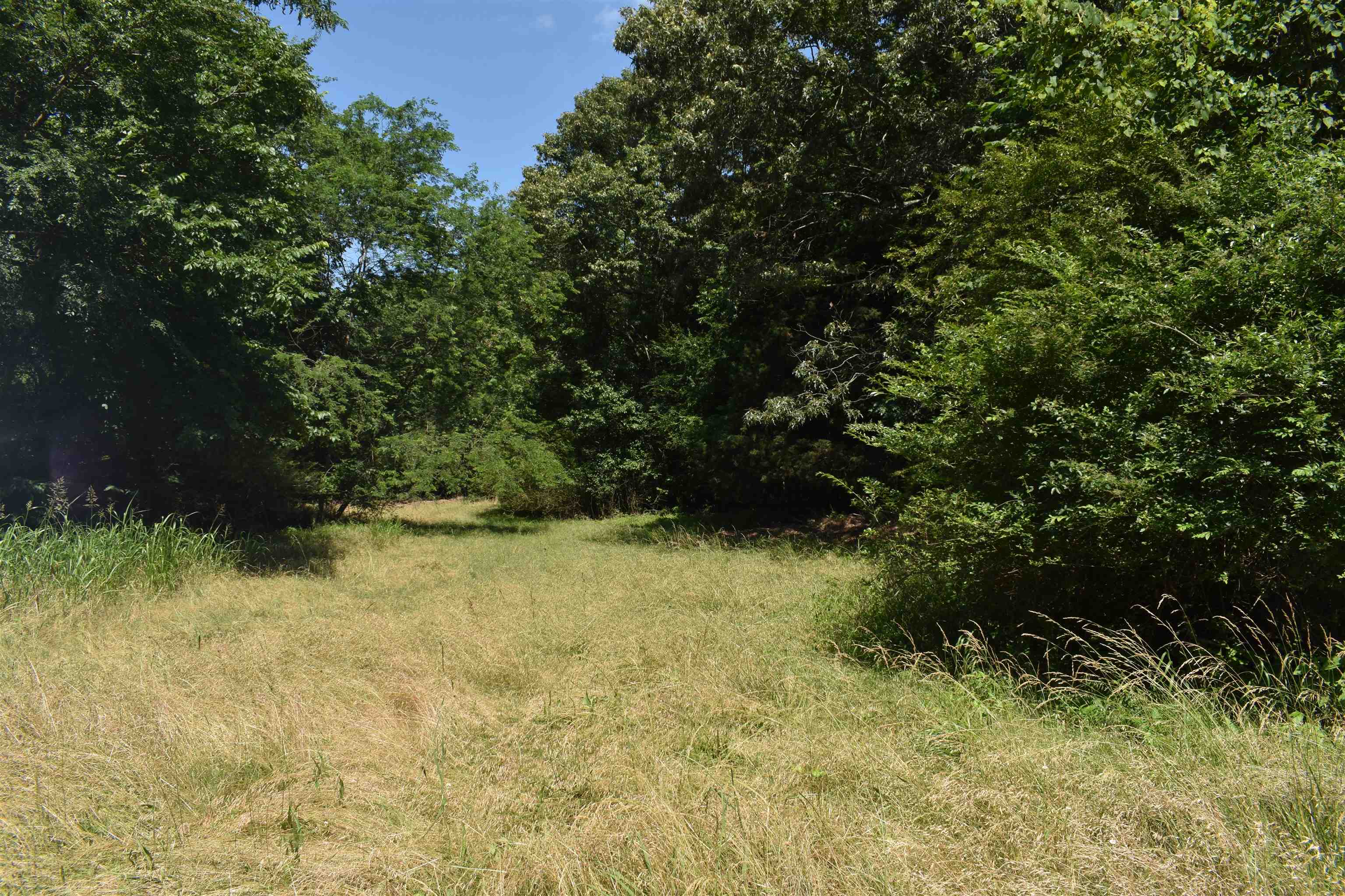 86 Casey Springs  Jonesboro, AR