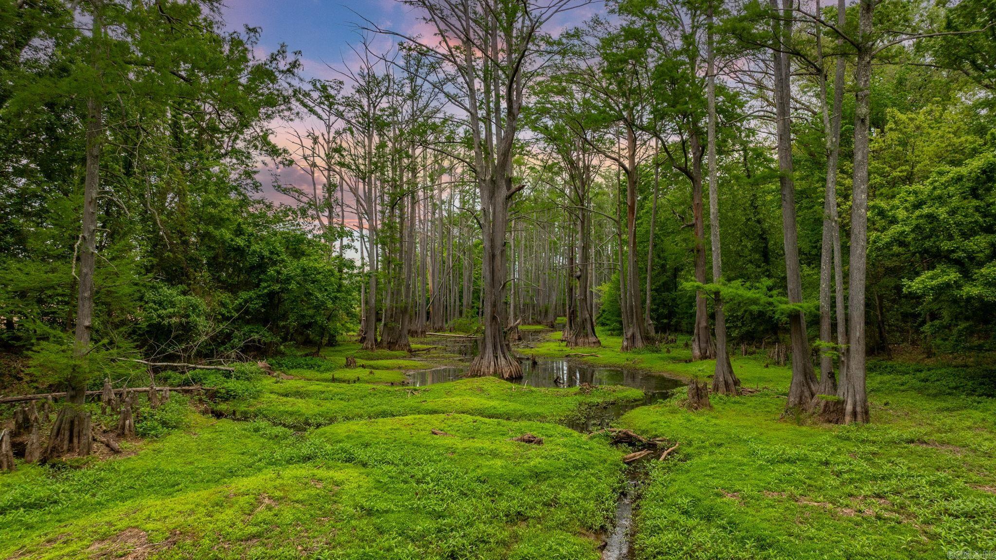 216  Lake Valley Drive  Maumelle, AR