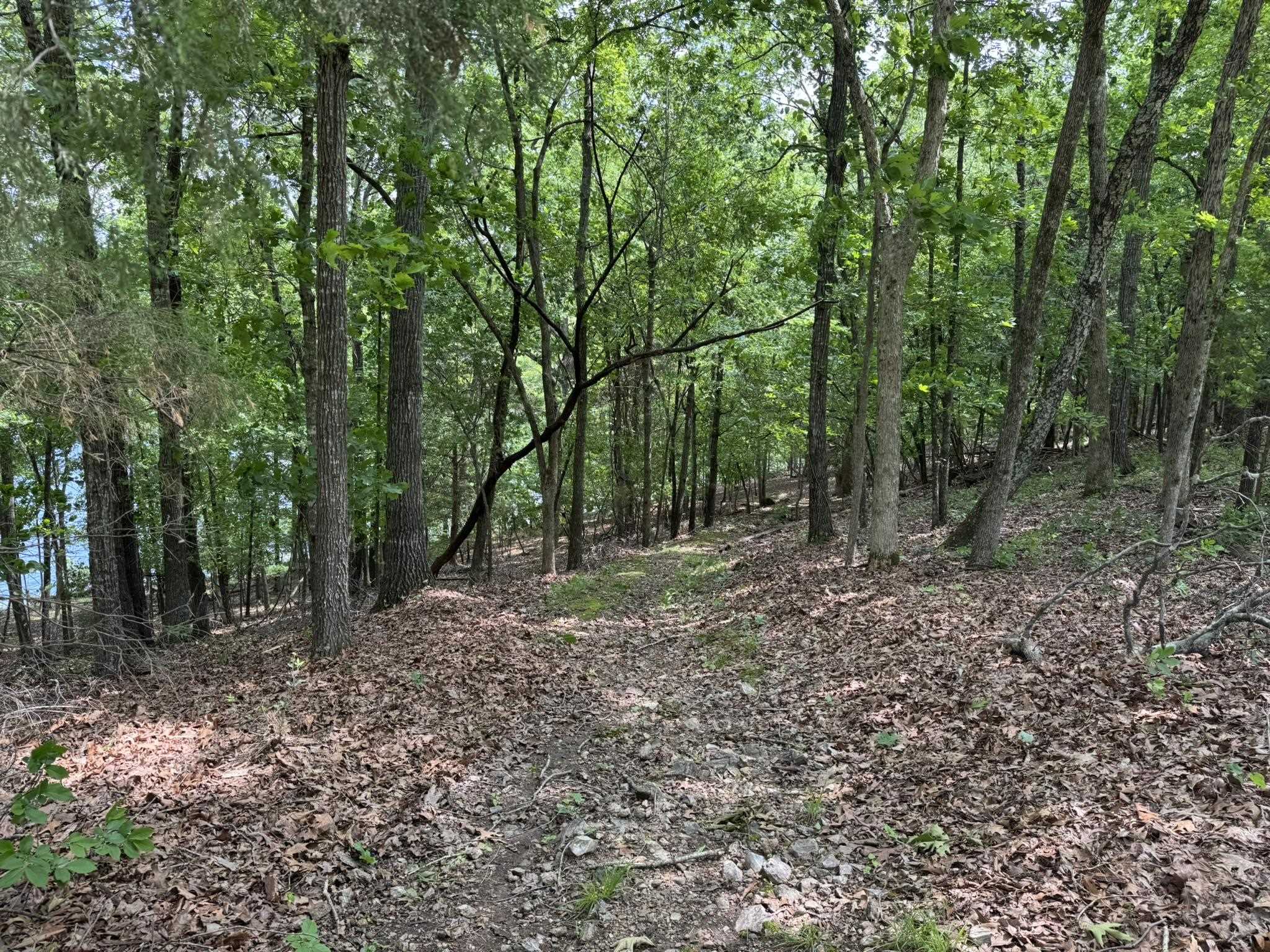 120  Pinehurst  Bull Shoals, AR