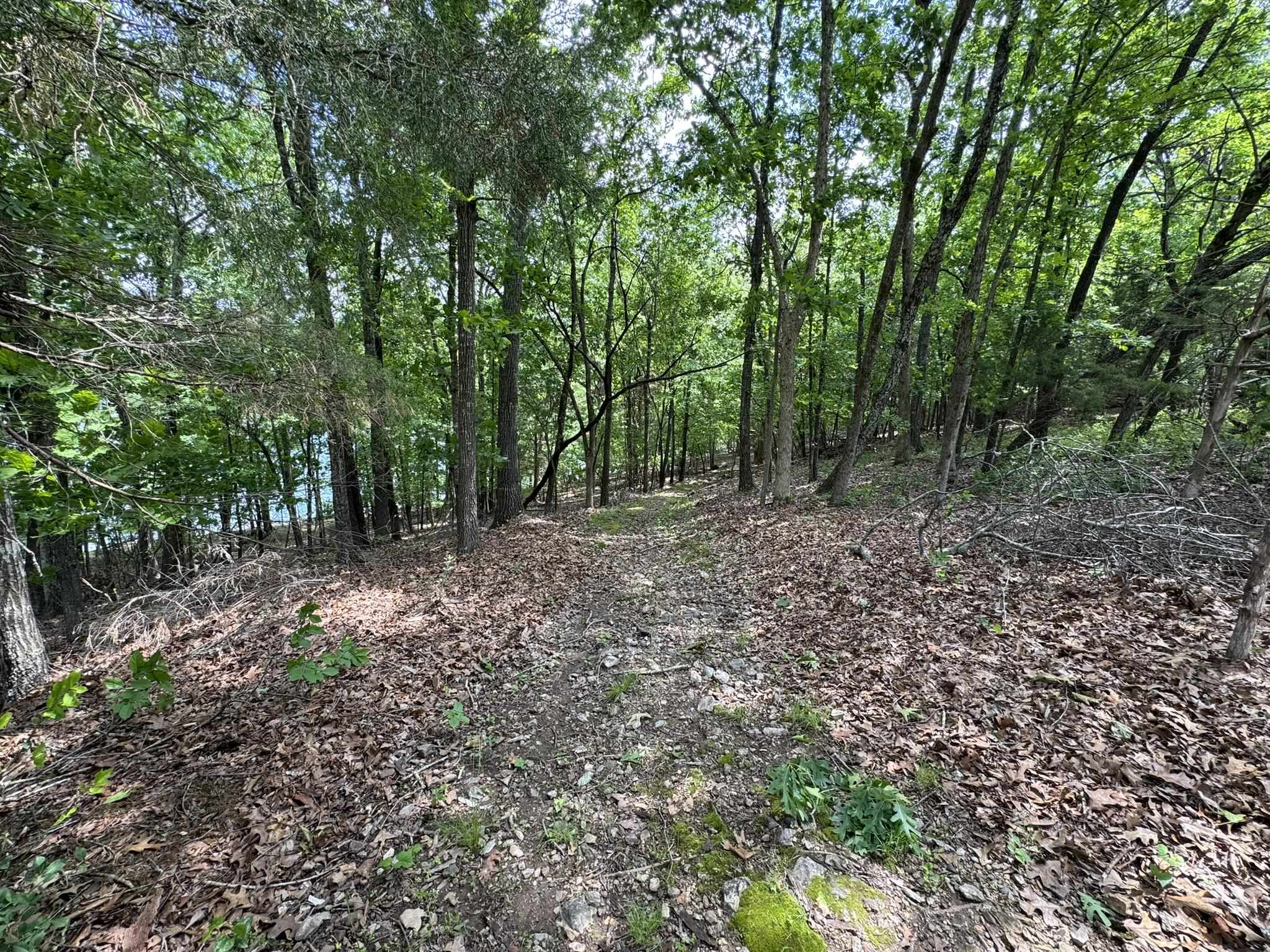 120  Pinehurst  Bull Shoals, AR