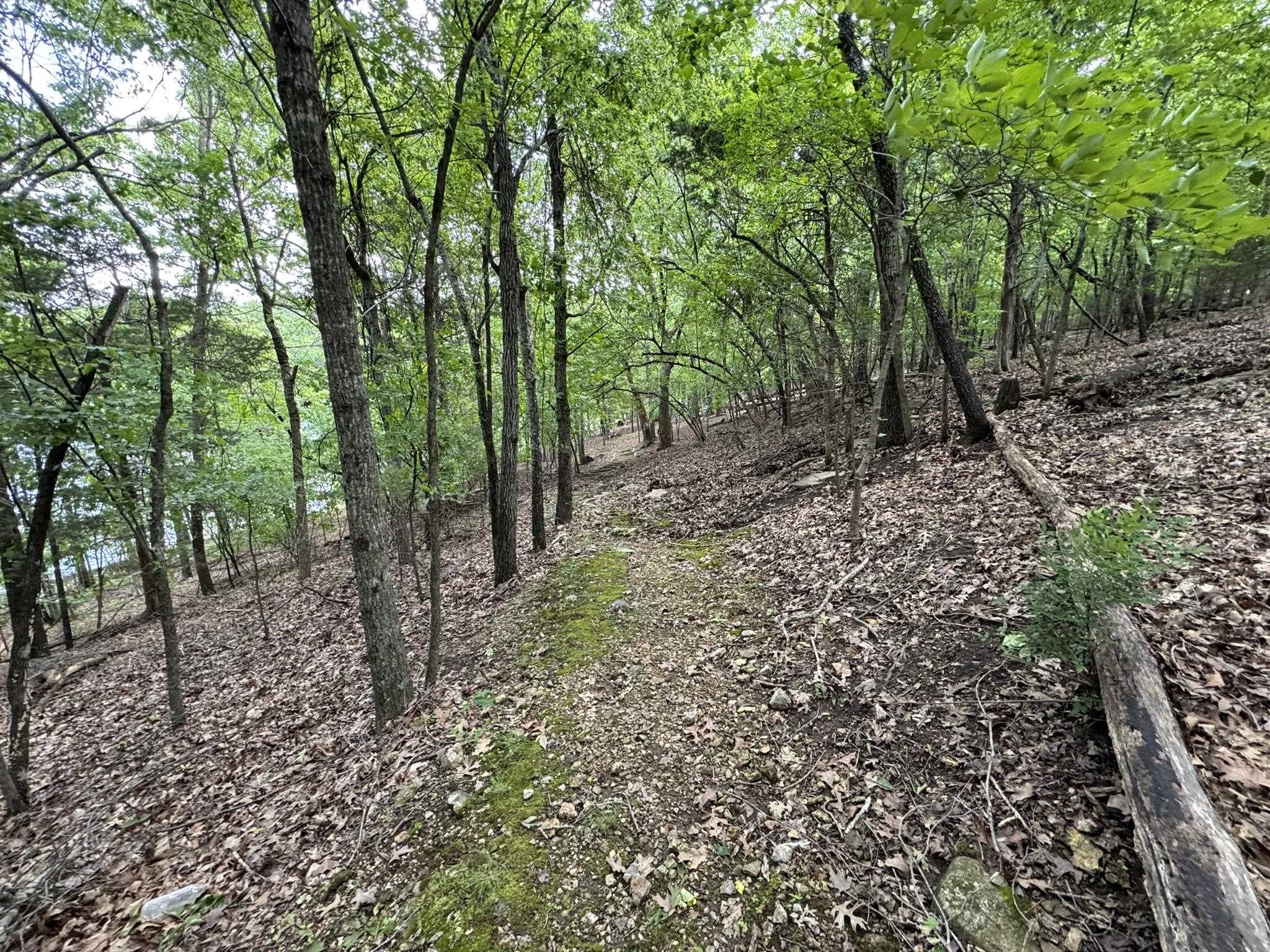 120  Pinehurst  Bull Shoals, AR