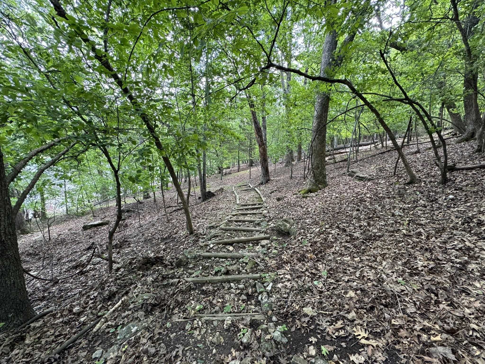 120  Pinehurst  Bull Shoals, AR