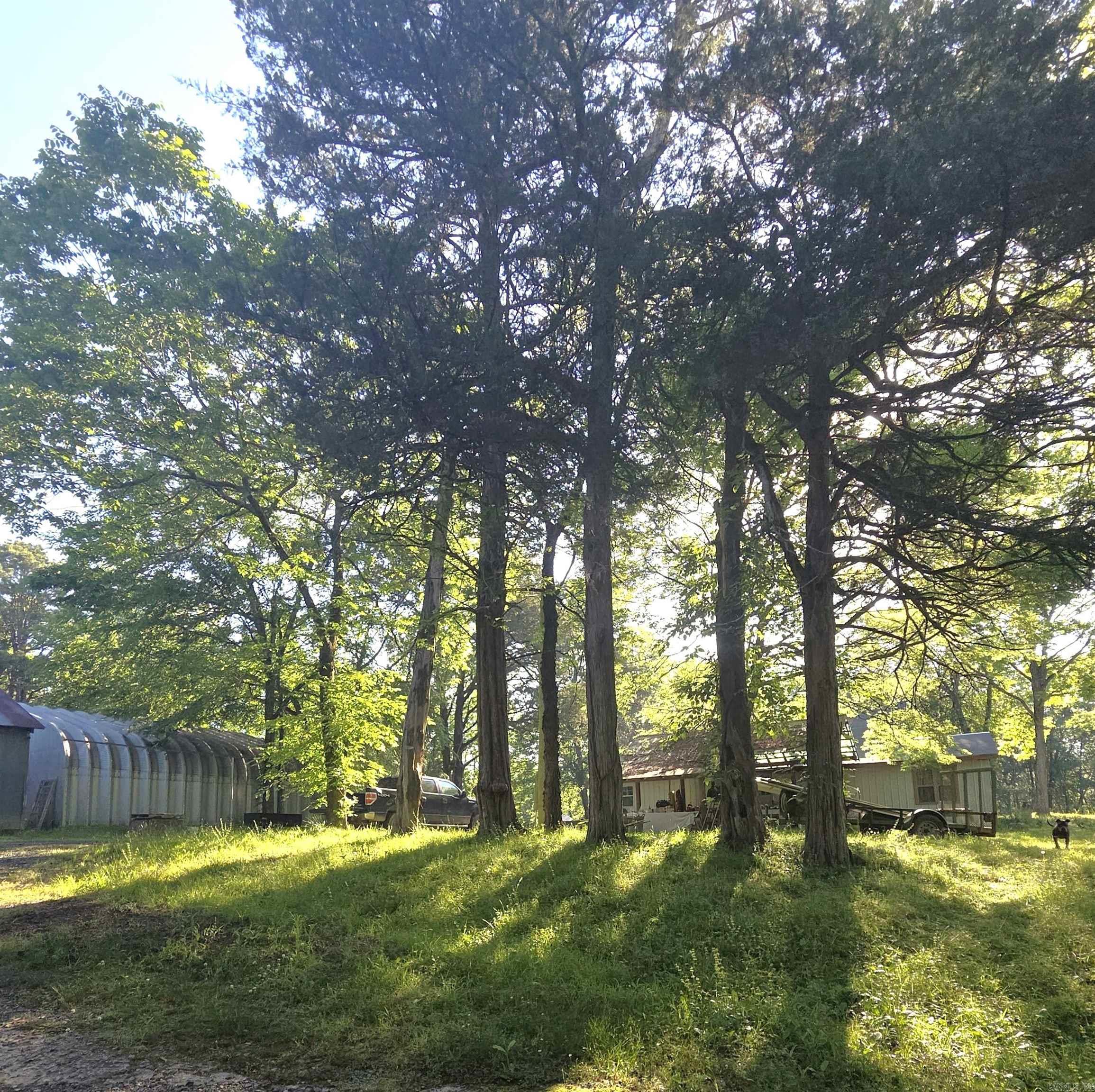 430  Polk Road 30  Hatfield, AR