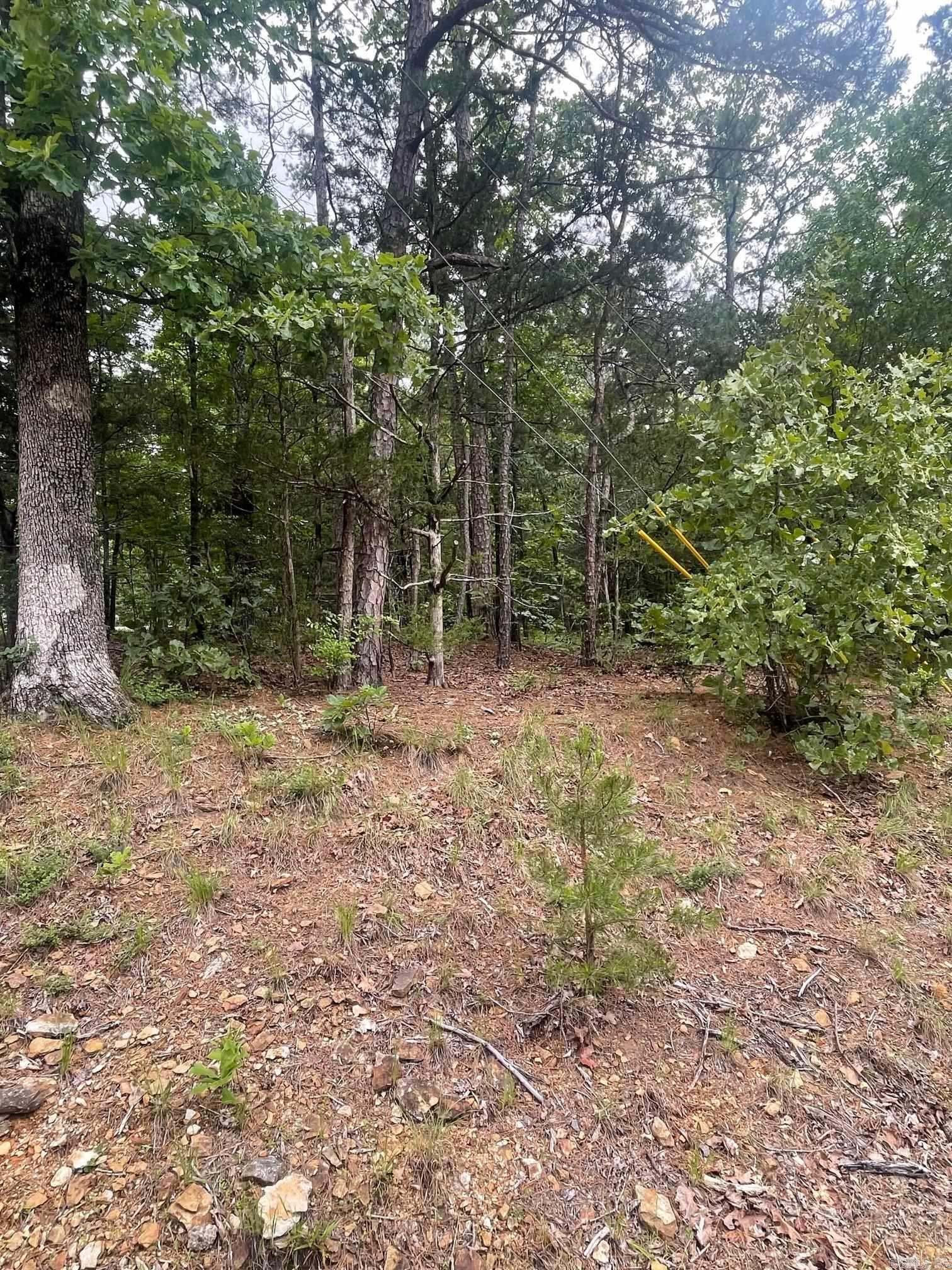 Lot 190  Pine Hill  Fairfield Bay, AR