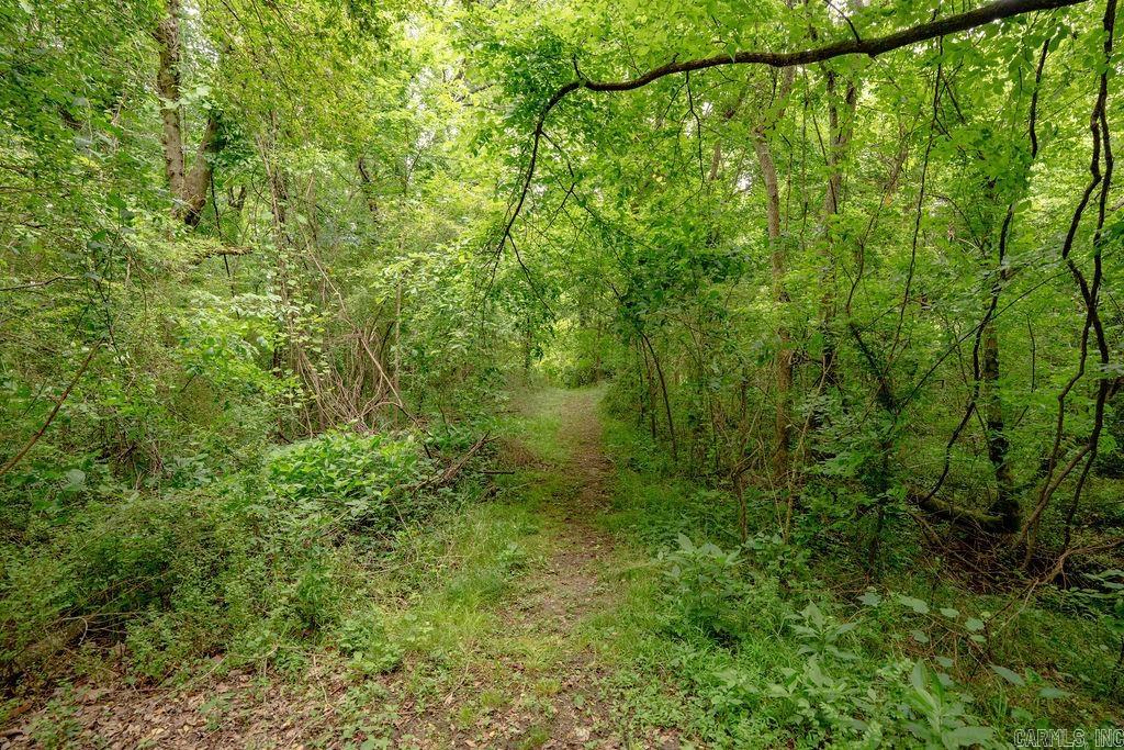 409  River Dr  Heber Springs, AR