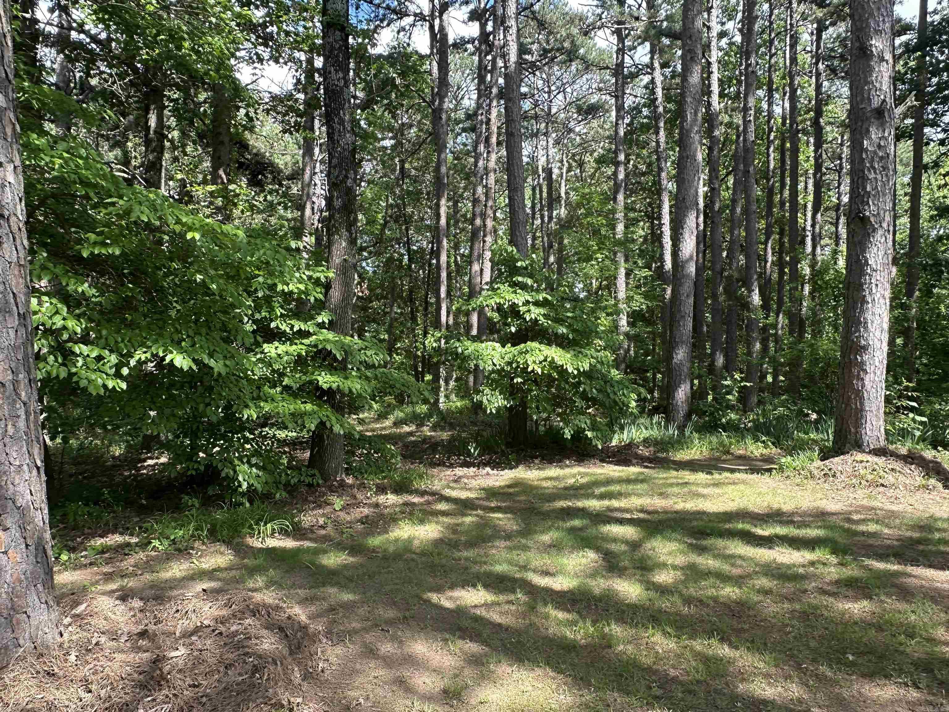 903  Northwood  Paragould, AR