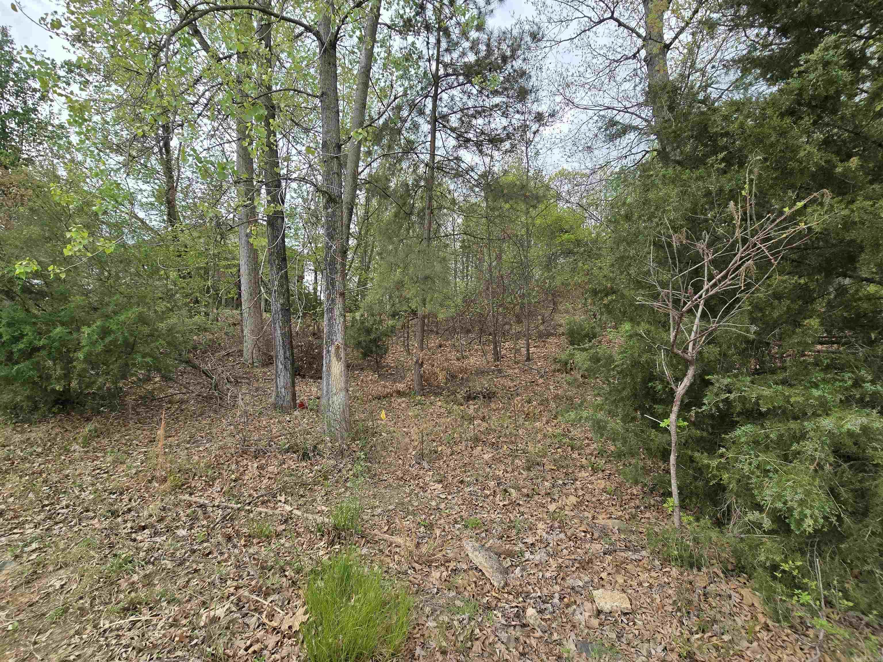 103  Navajo  Maumelle, AR