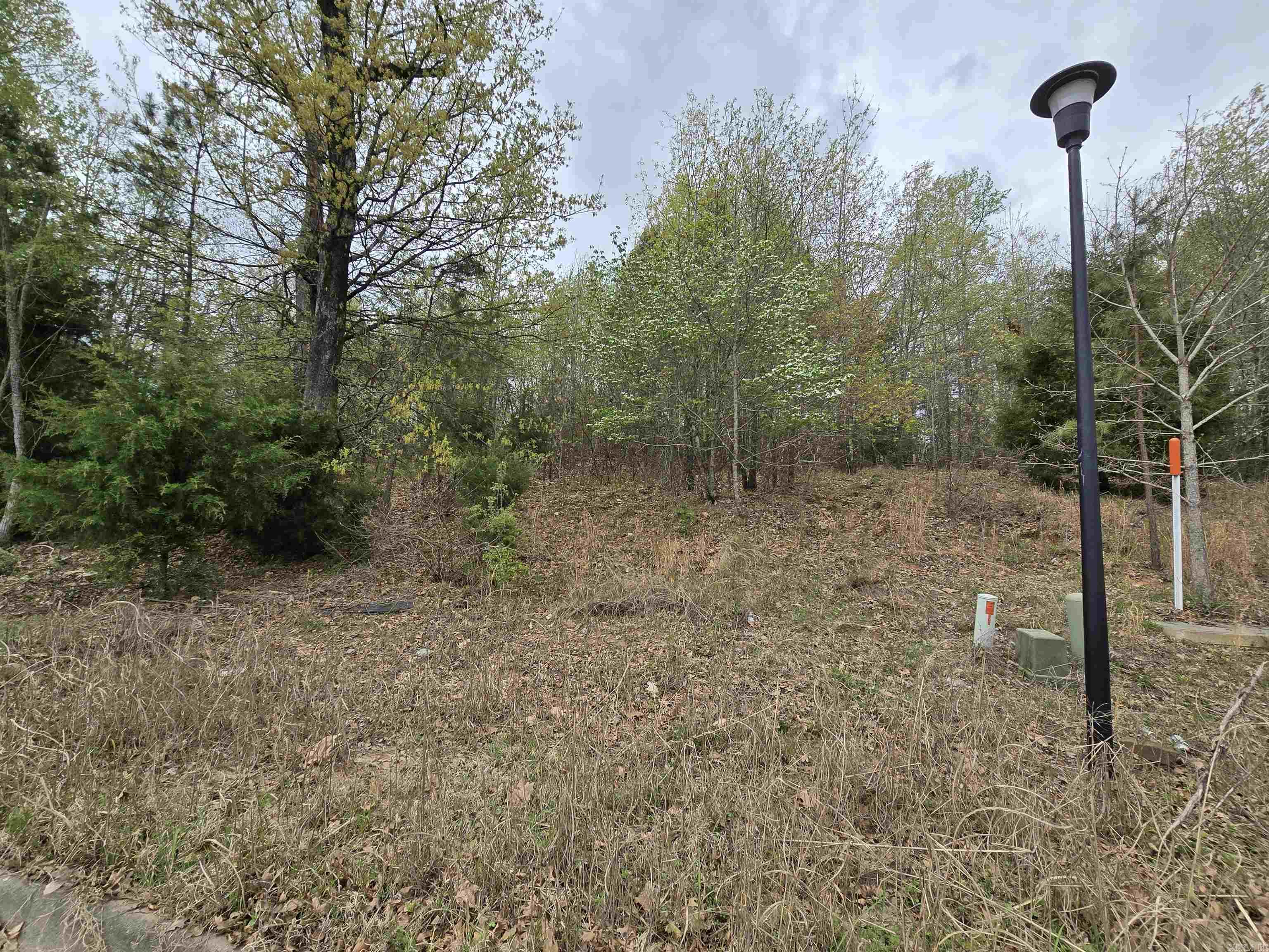 103  Navajo  Maumelle, AR