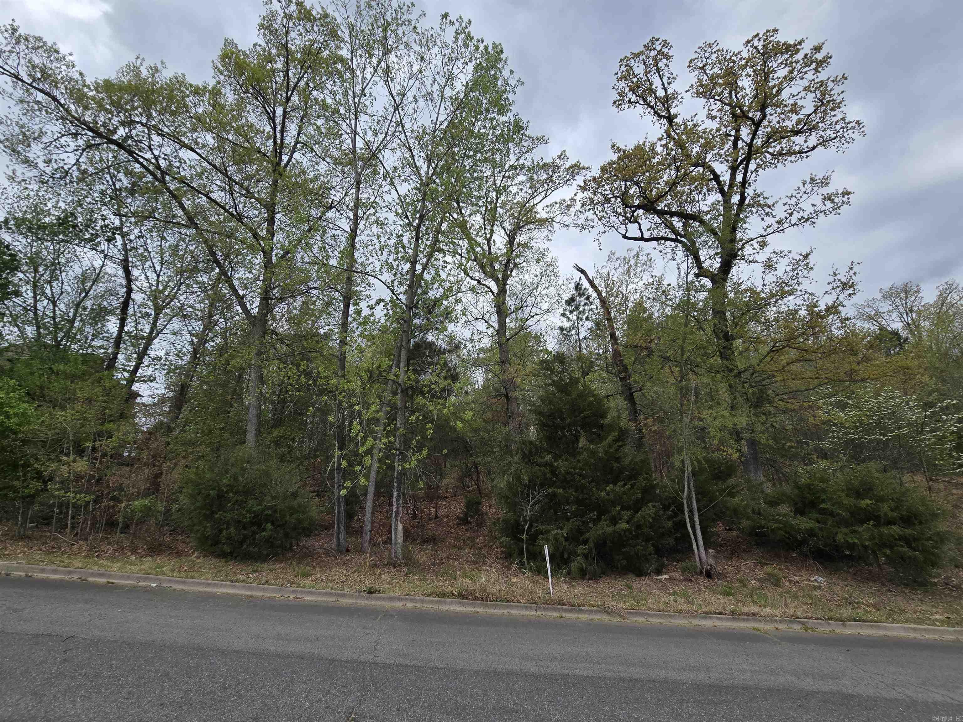 103  Navajo  Maumelle, AR