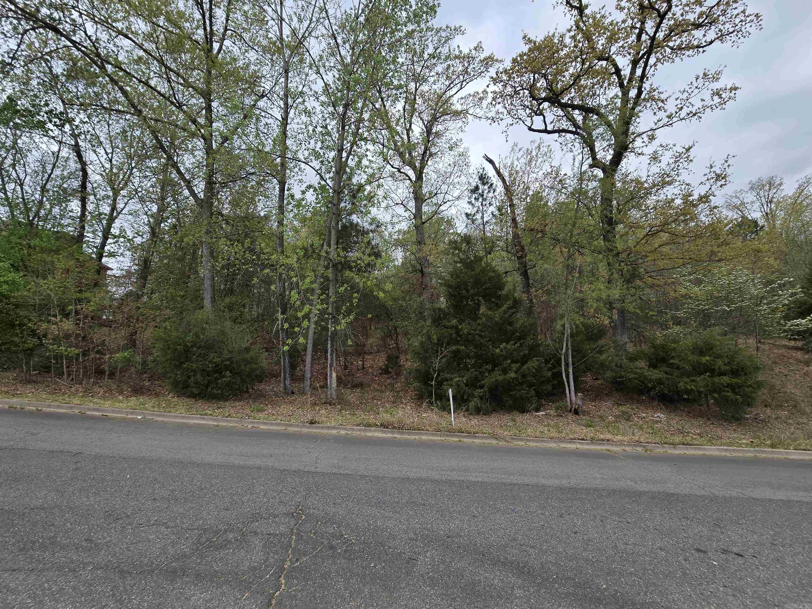 103  Navajo  Maumelle, AR
