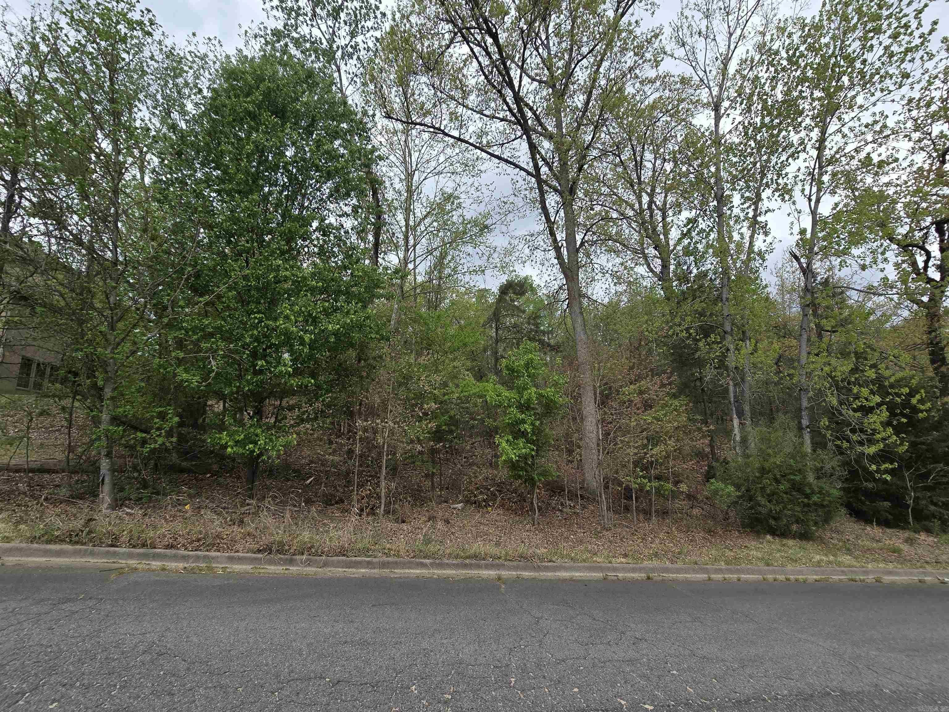 103  Navajo  Maumelle, AR