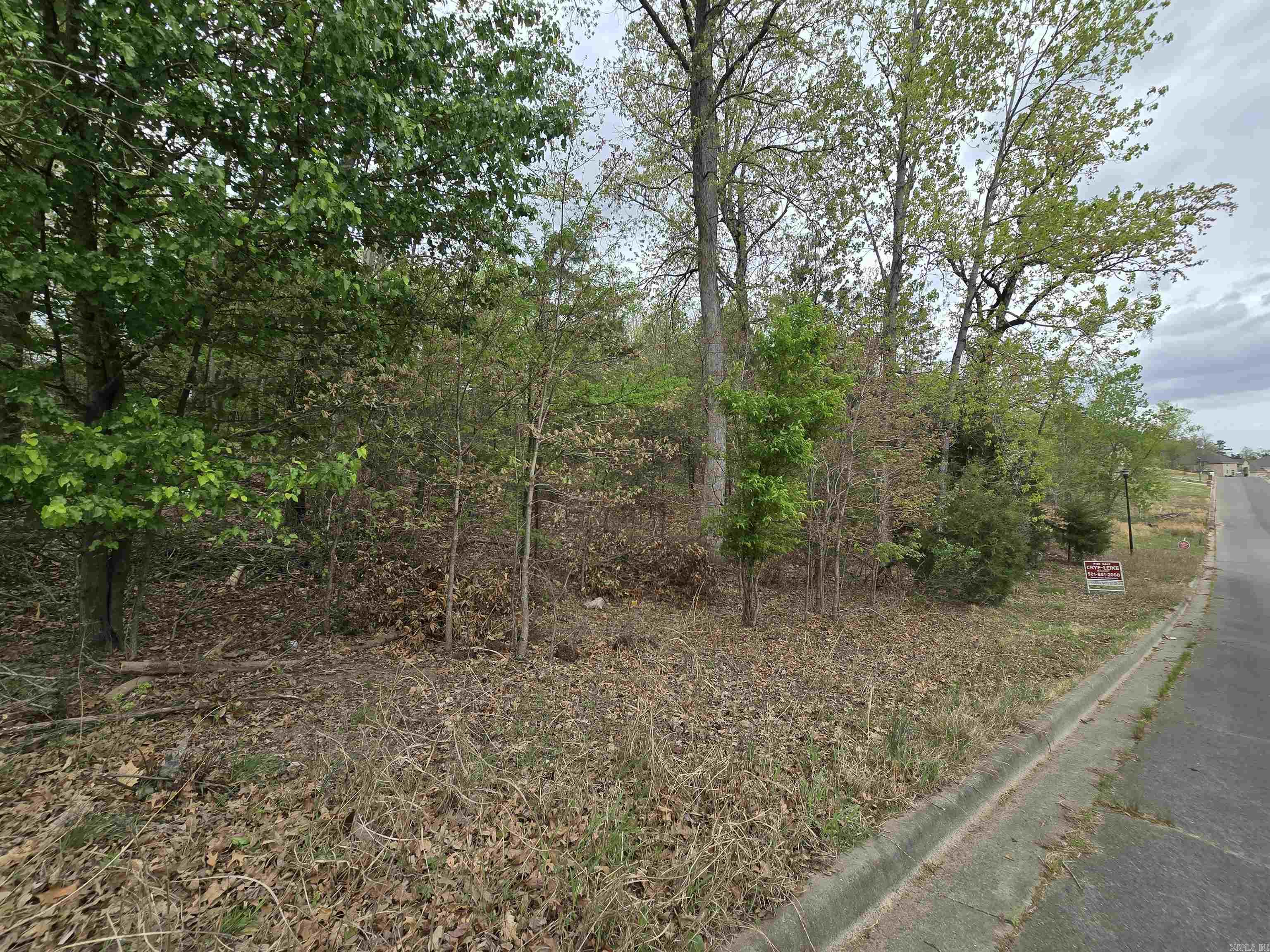 103  Navajo  Maumelle, AR