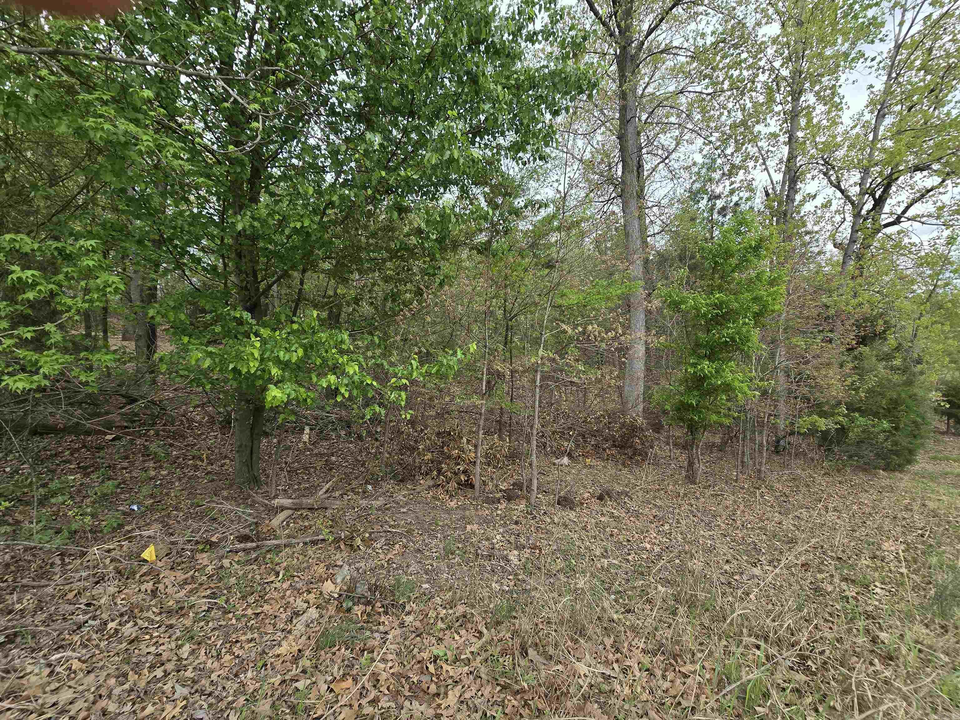 103  Navajo  Maumelle, AR