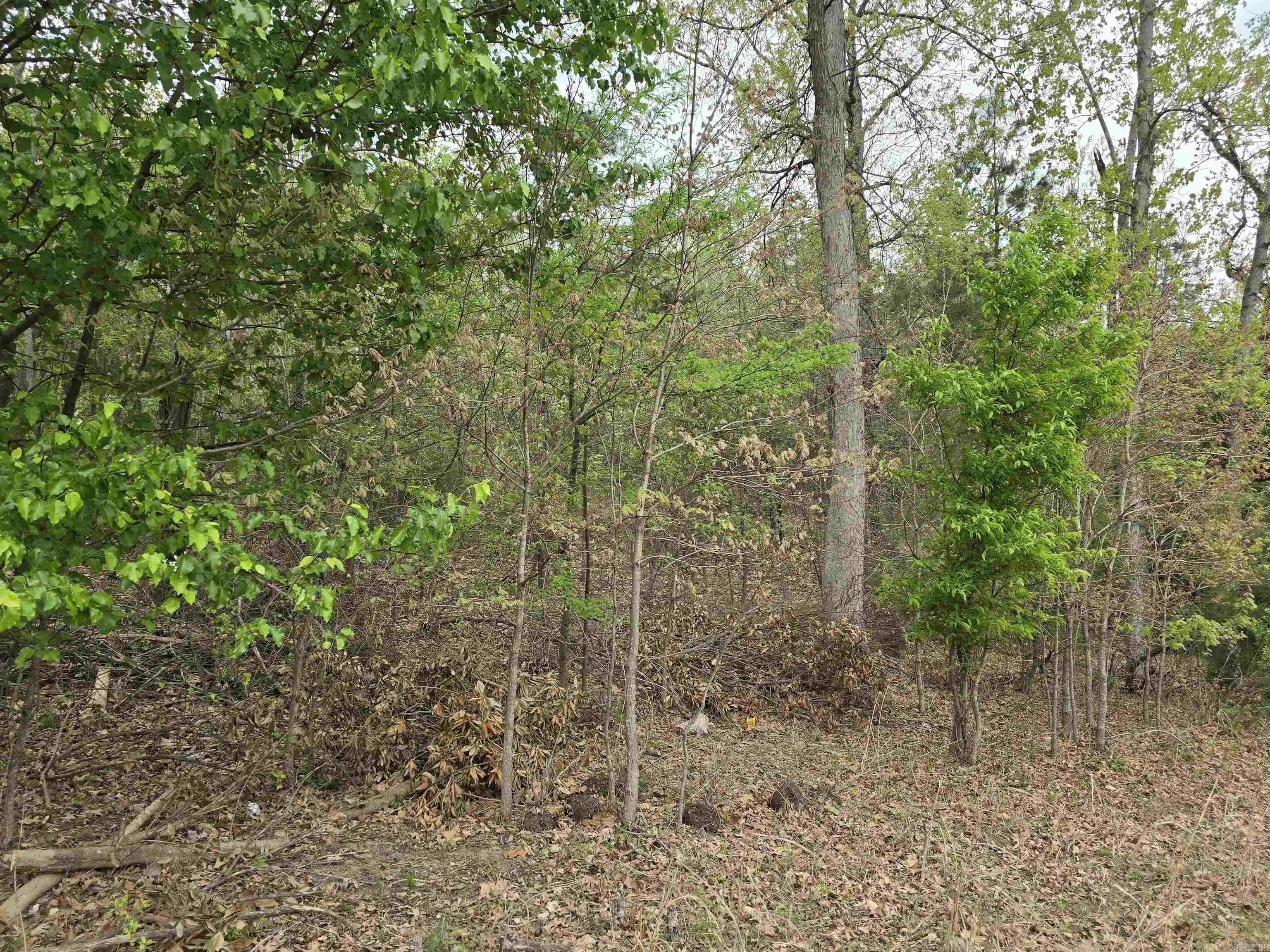 103  Navajo  Maumelle, AR
