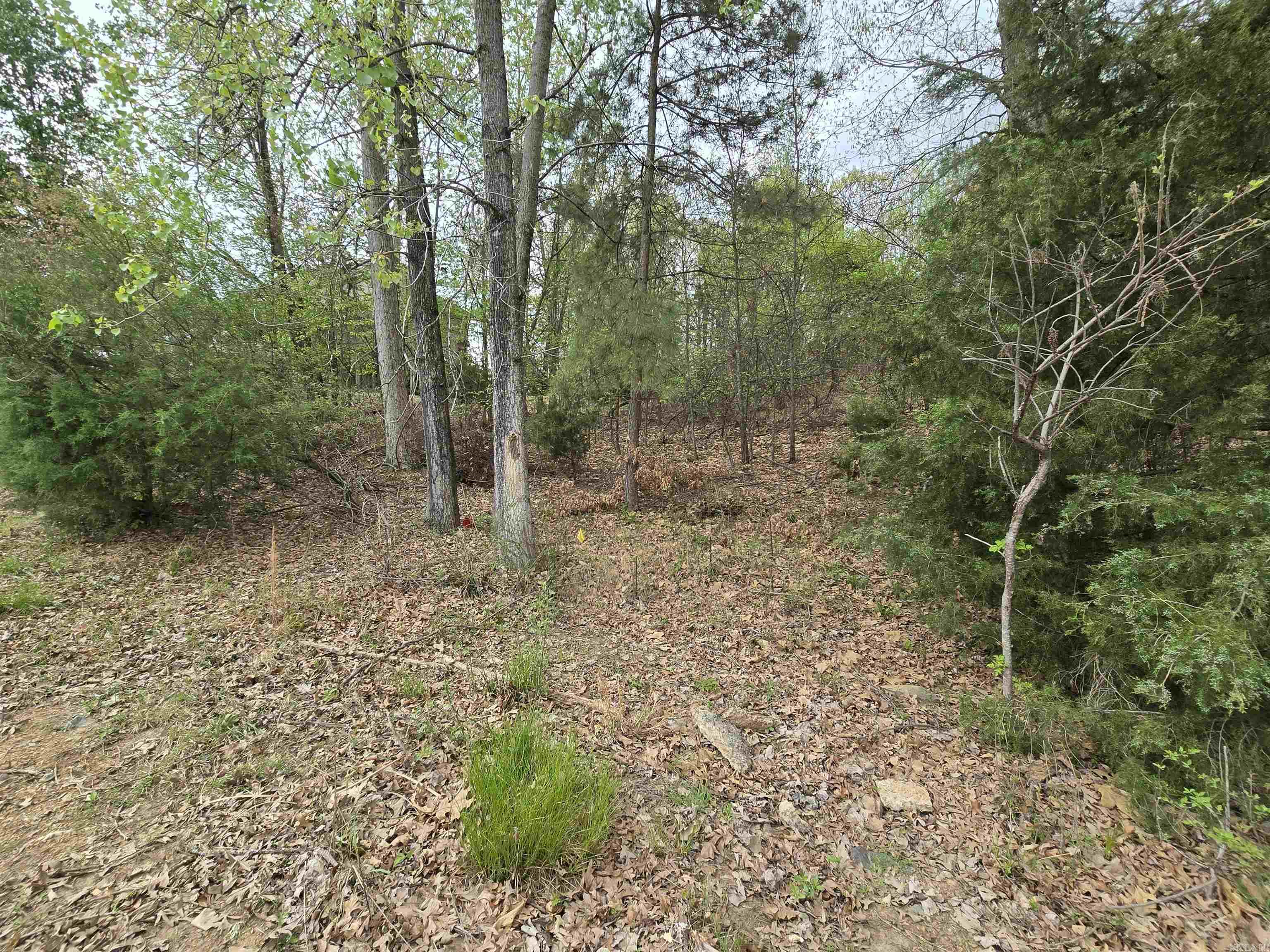 103  Navajo  Maumelle, AR