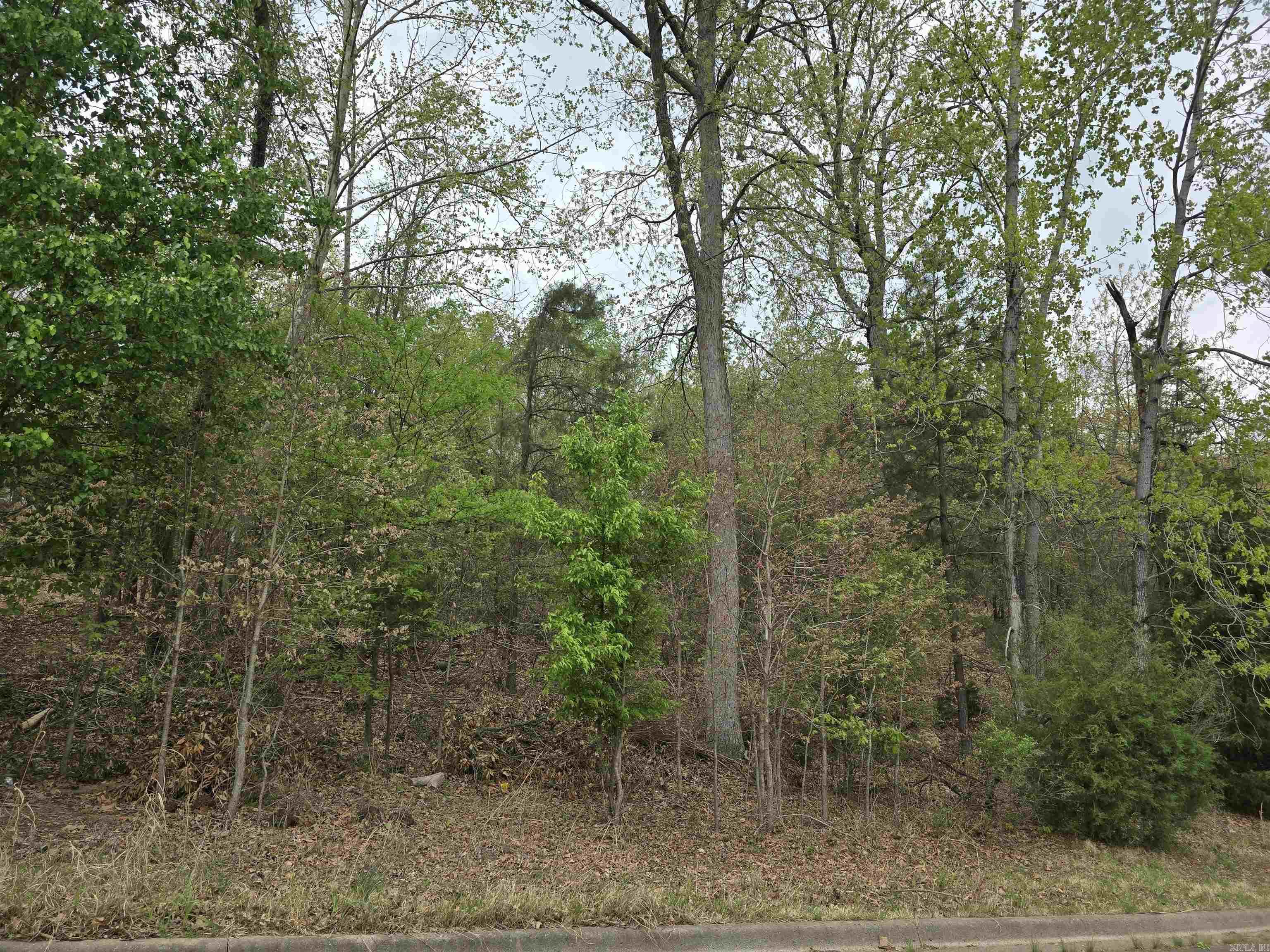 103  Navajo  Maumelle, AR