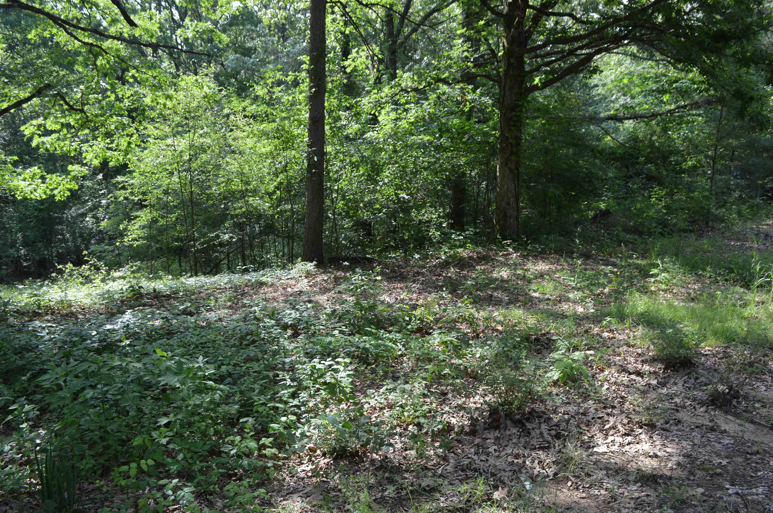 5990  Martin  Harrisburg, AR