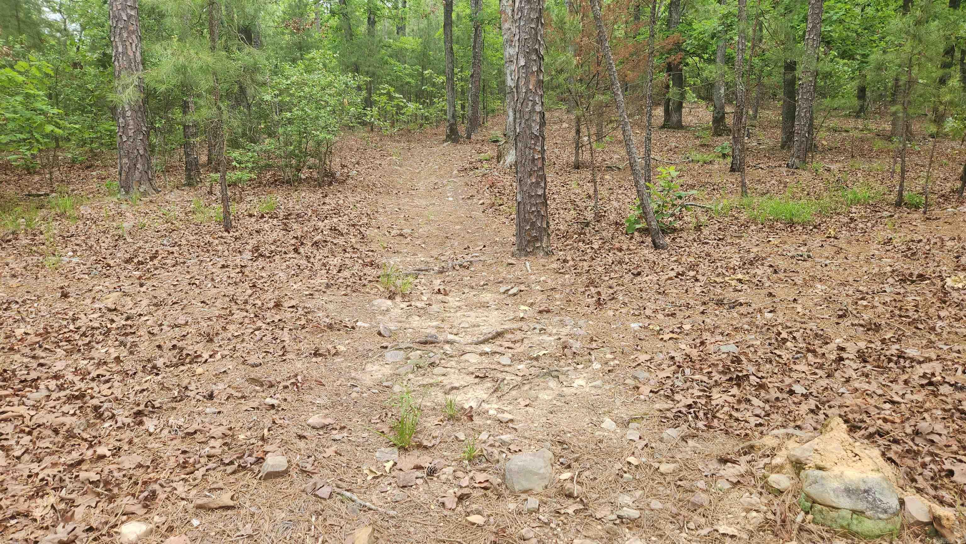 180  Herschel B Guinn Rd  Story, AR
