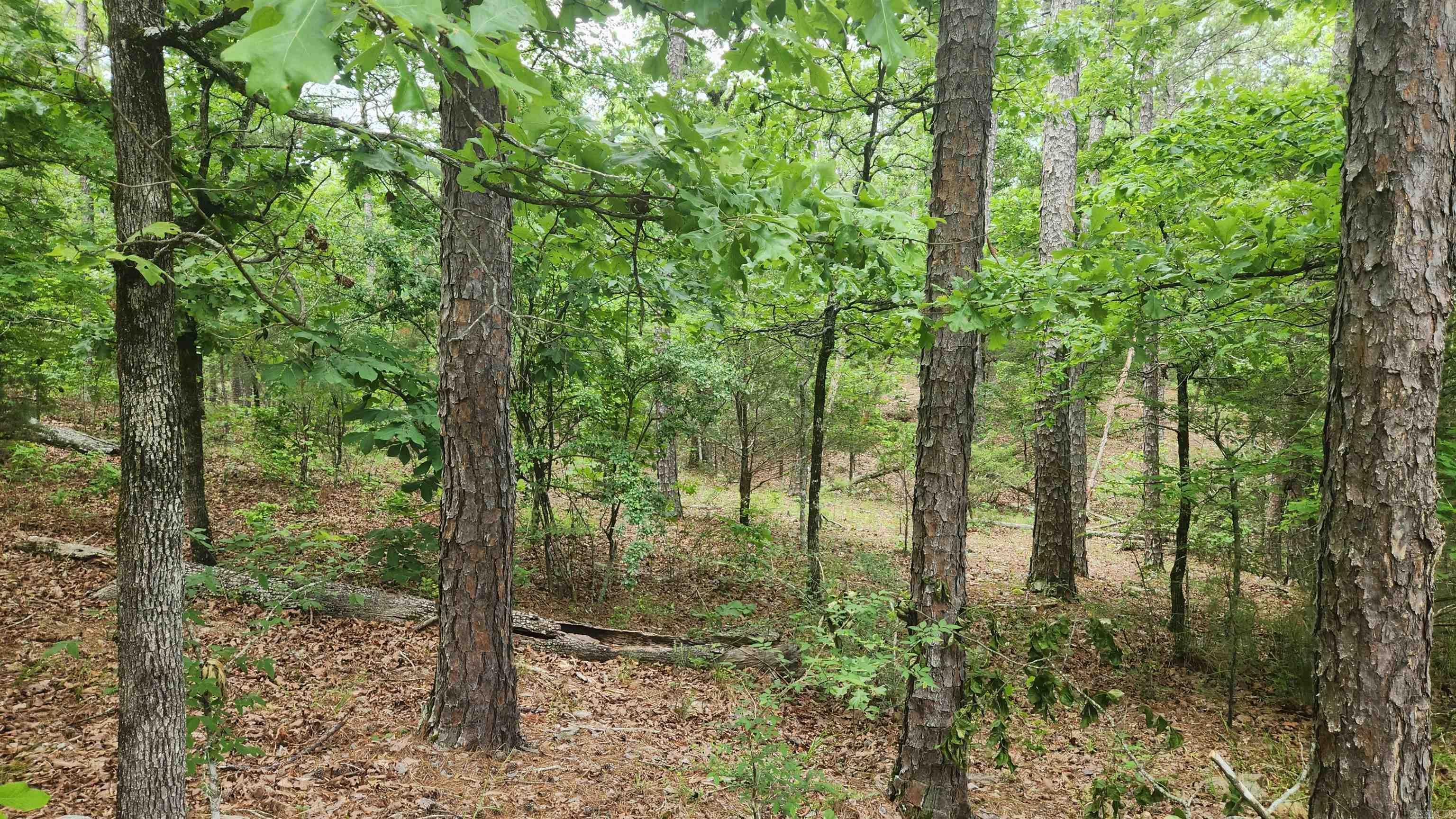180  Herschel B Guinn Rd  Story, AR