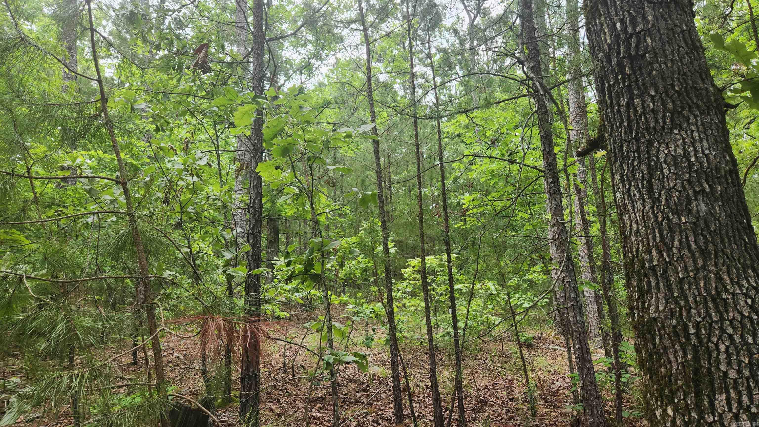180  Herschel B Guinn Rd  Story, AR