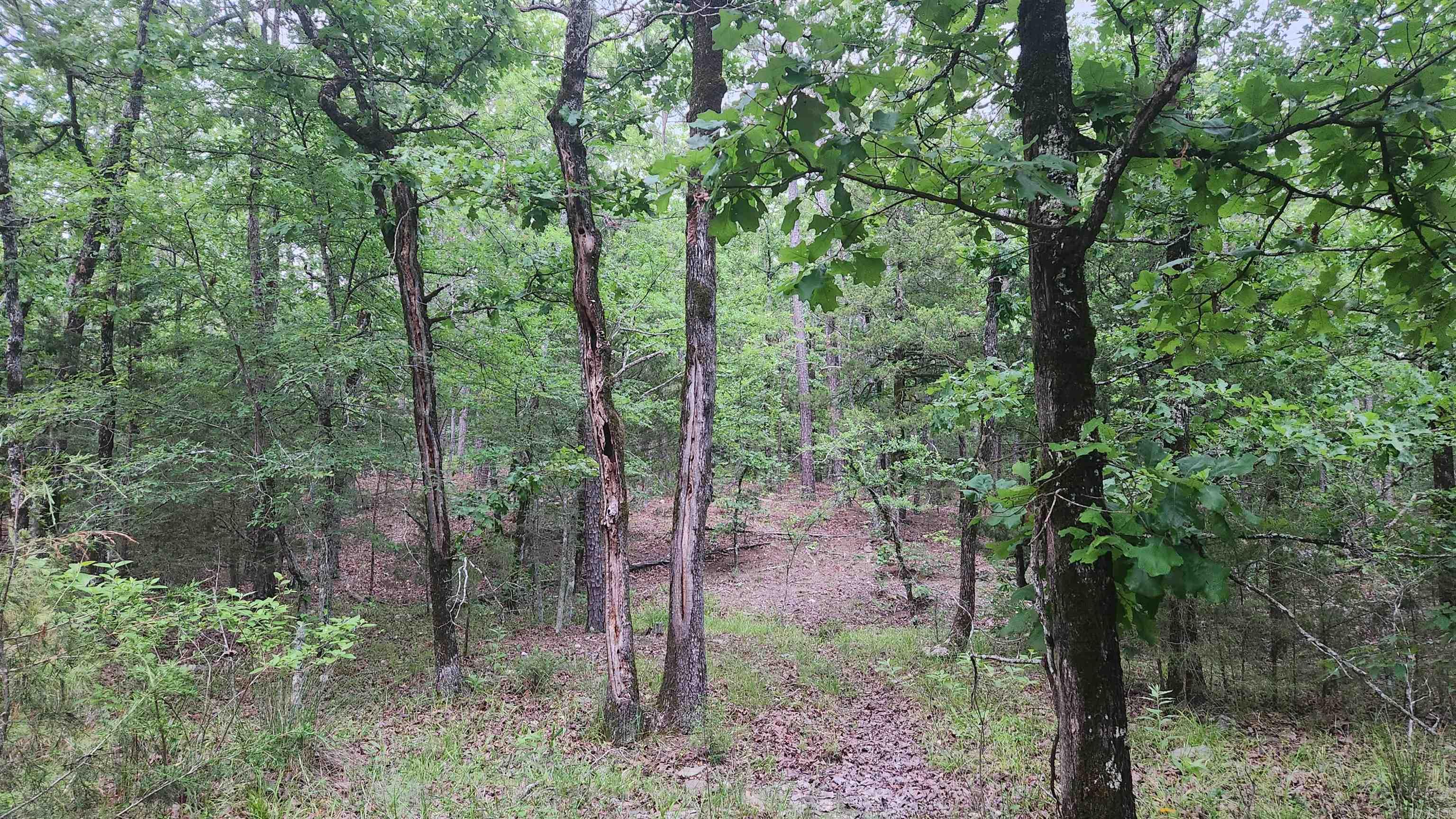 180  Herschel B Guinn Rd  Story, AR