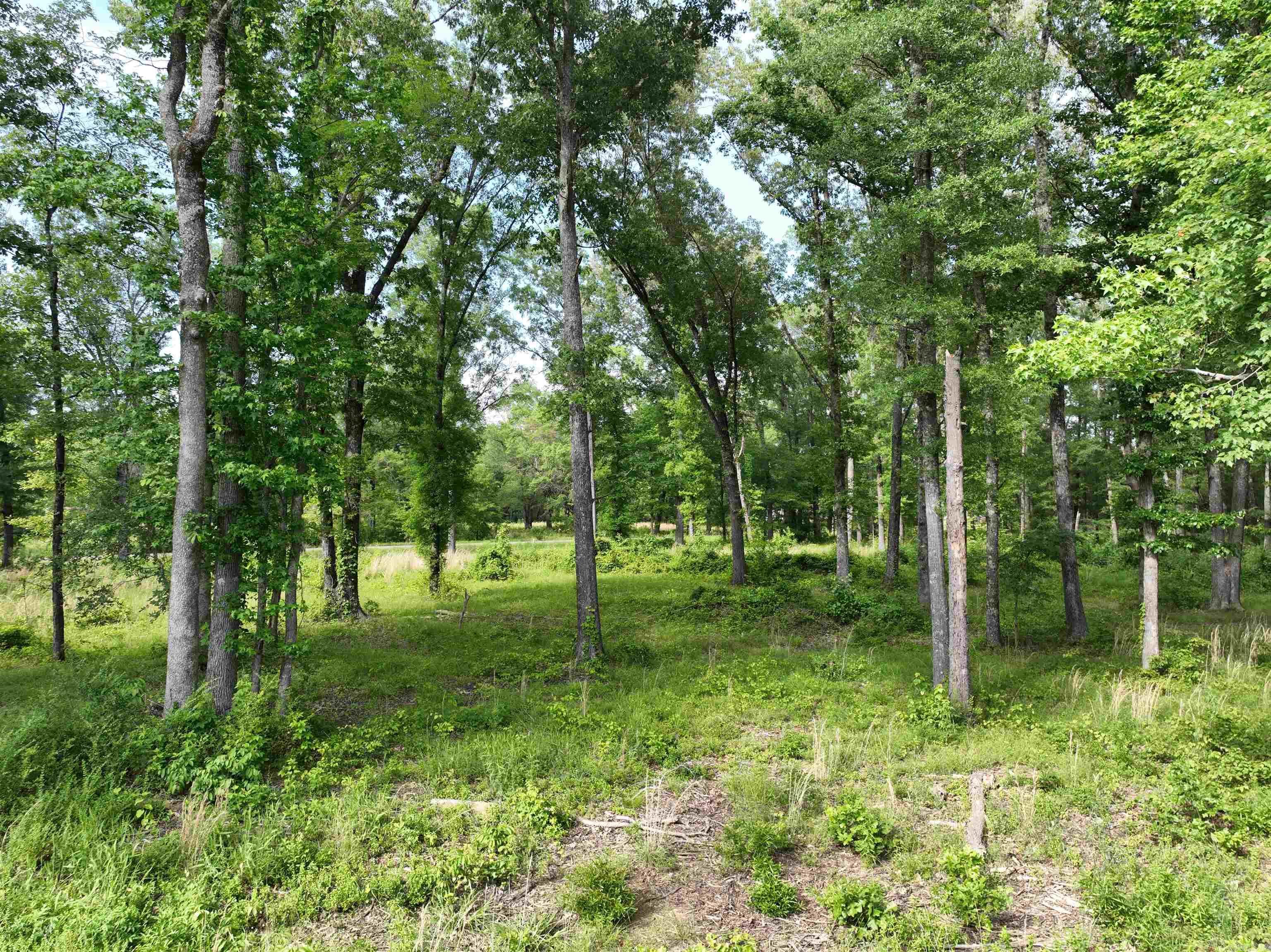 200  Stanley Road  Vilonia, AR