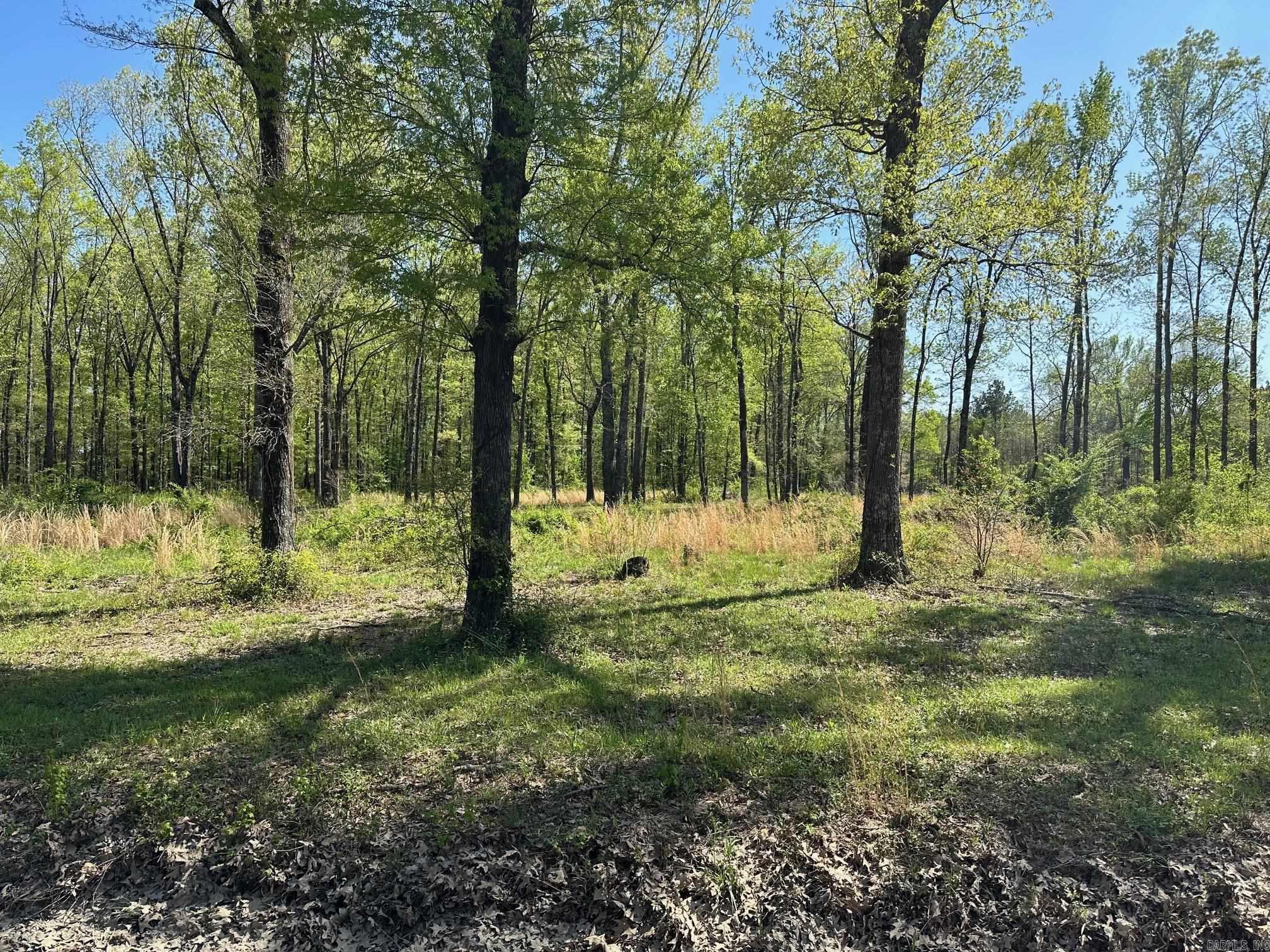 200  Stanley Road  Vilonia, AR