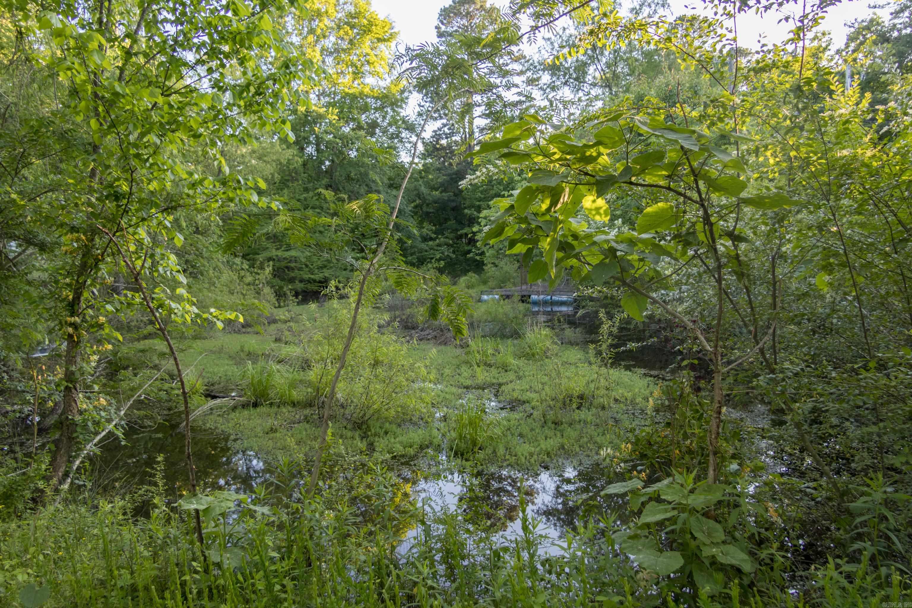 186 W 4  Cove, AR