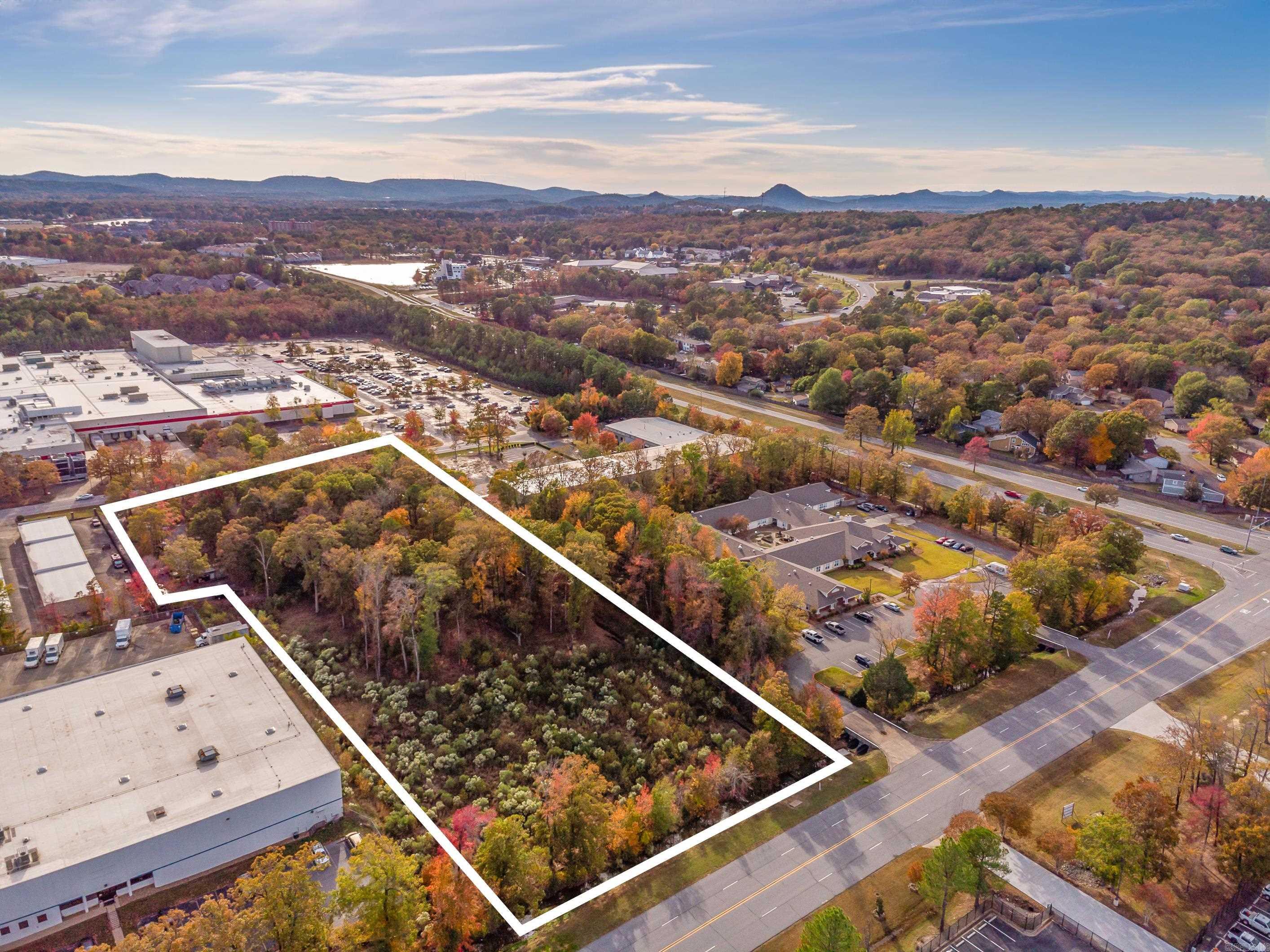 00  Bringler  Maumelle, AR
