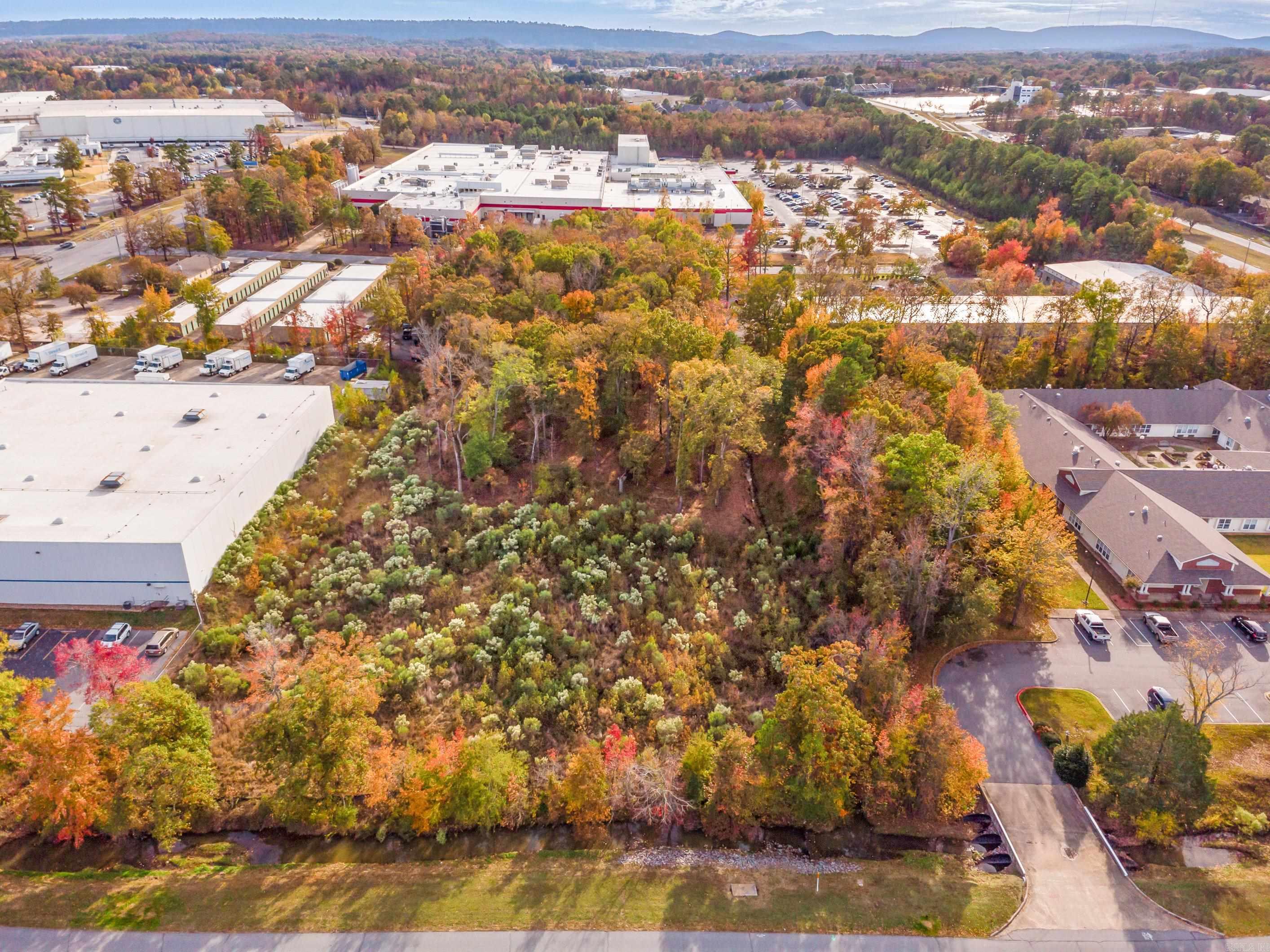 00  Bringler  Maumelle, AR