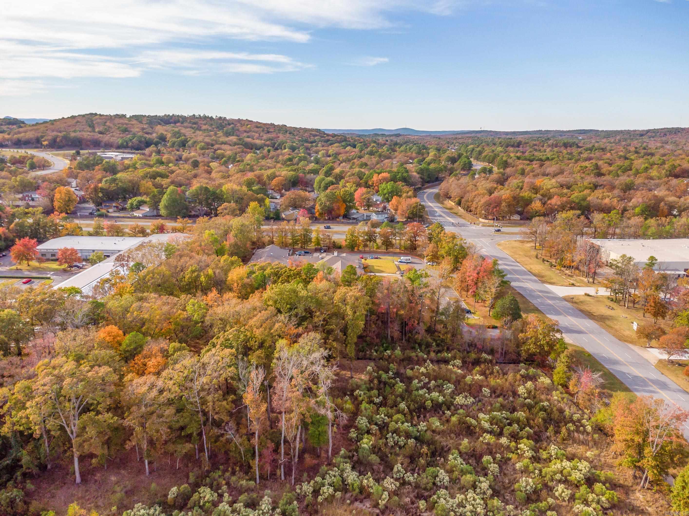 00  Bringler  Maumelle, AR