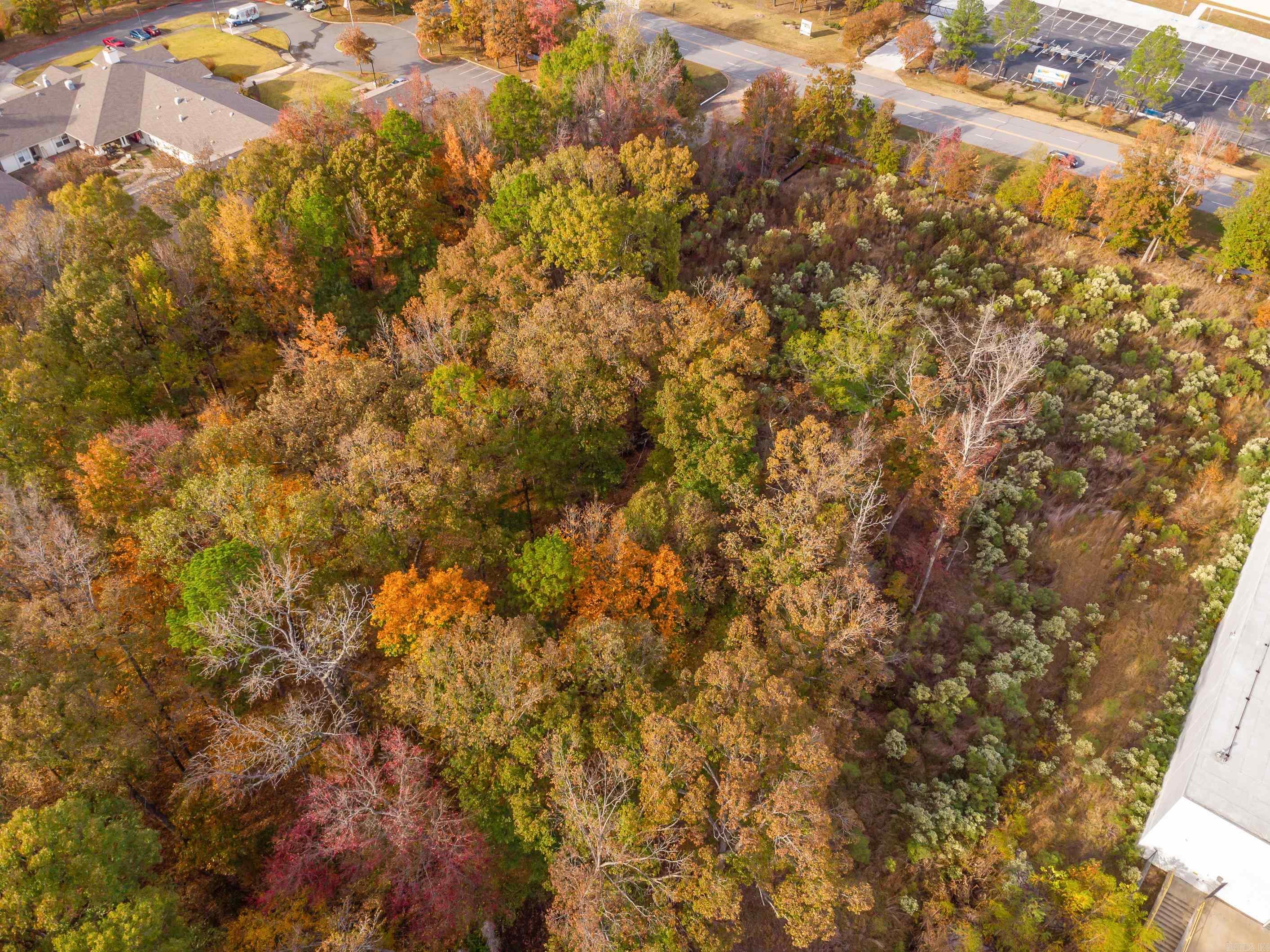 00  Bringler  Maumelle, AR