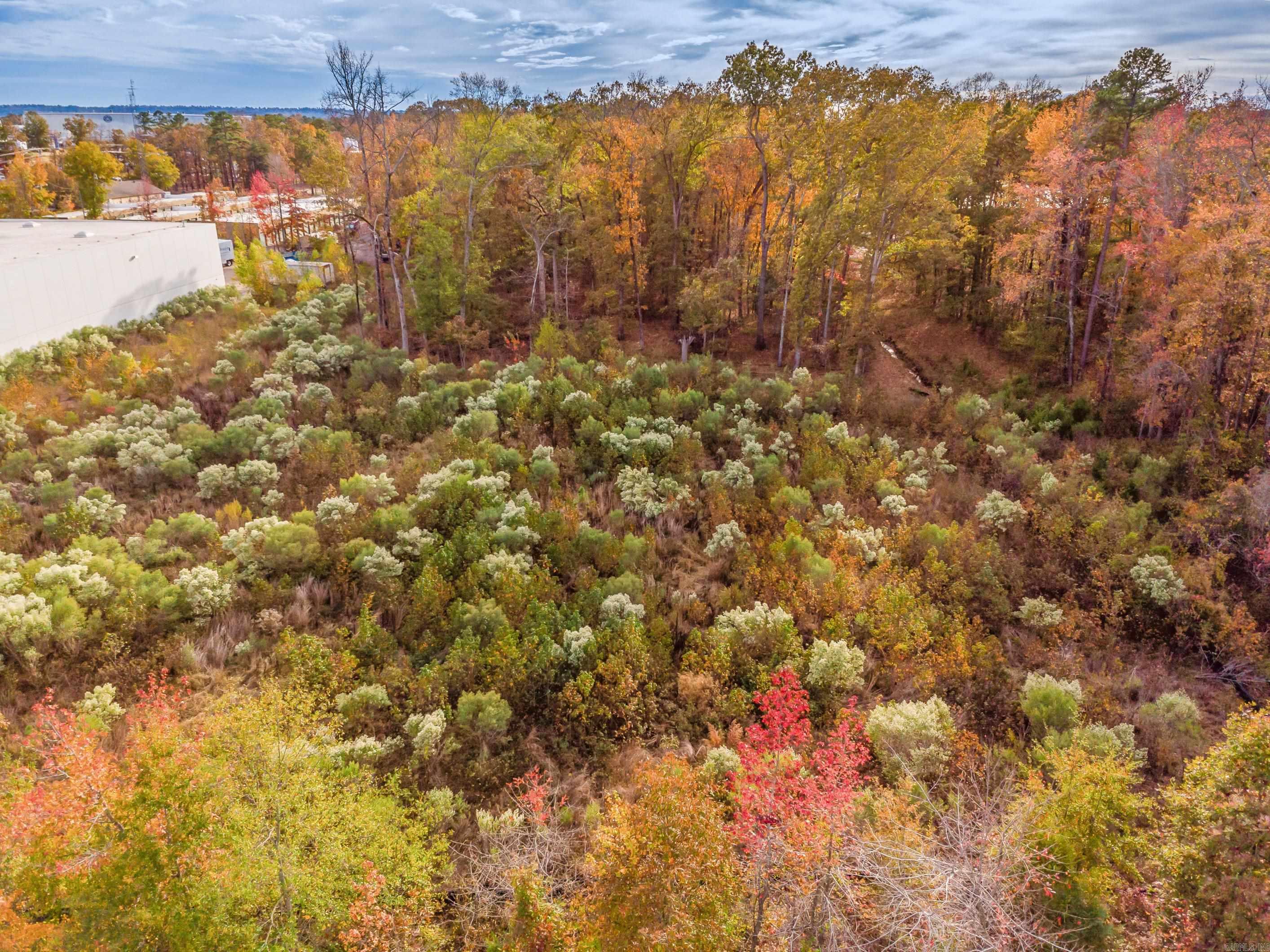 00  Bringler  Maumelle, AR