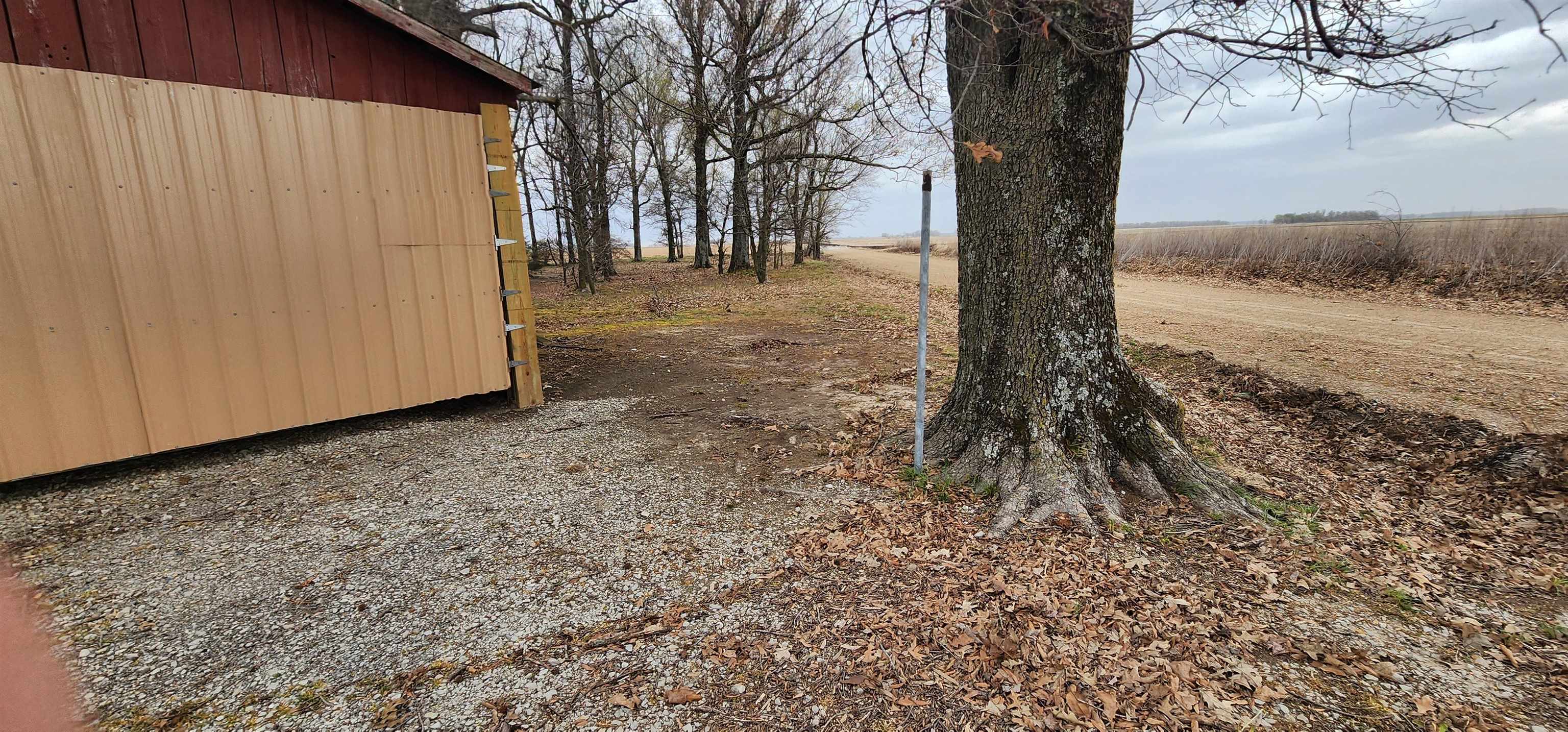9126  Highway 90  Walnut Ridge, AR