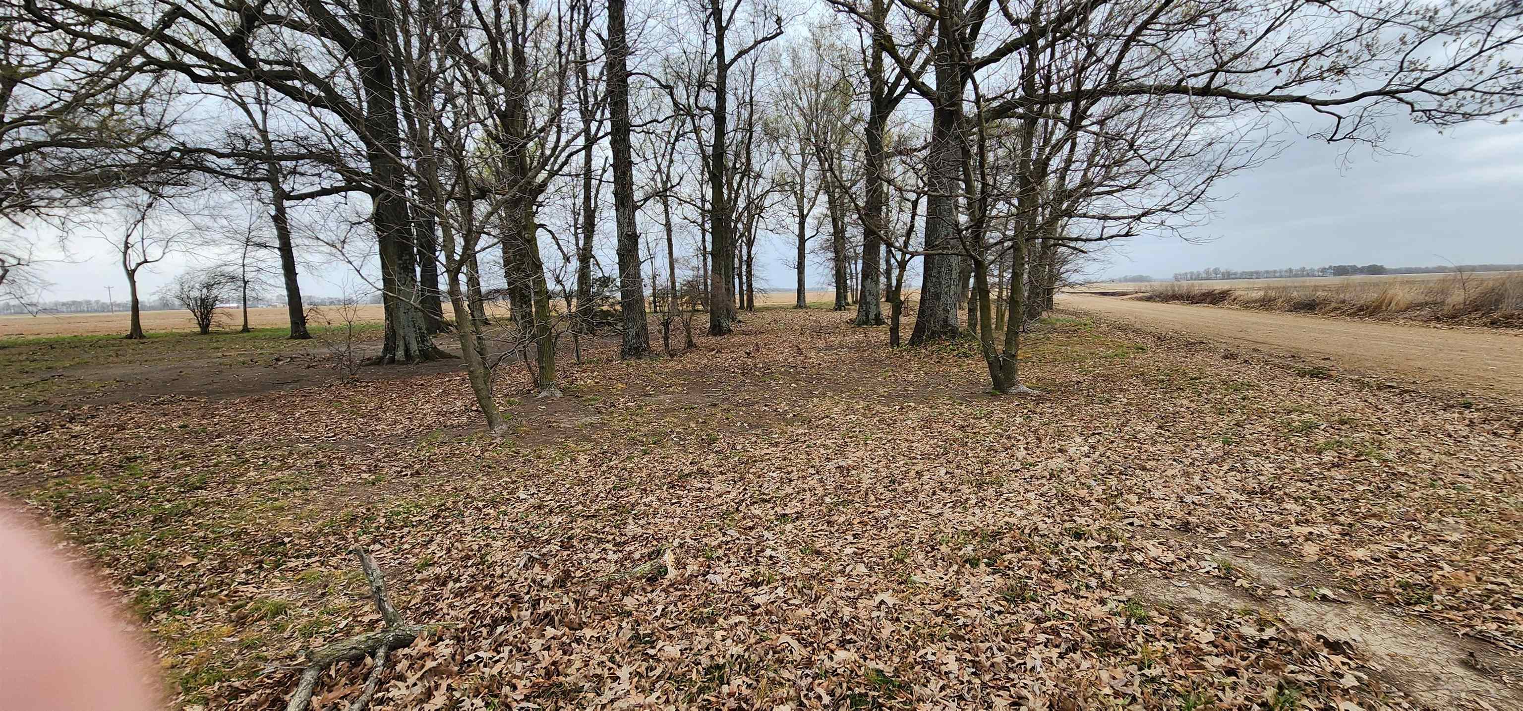 9126  Highway 90  Walnut Ridge, AR