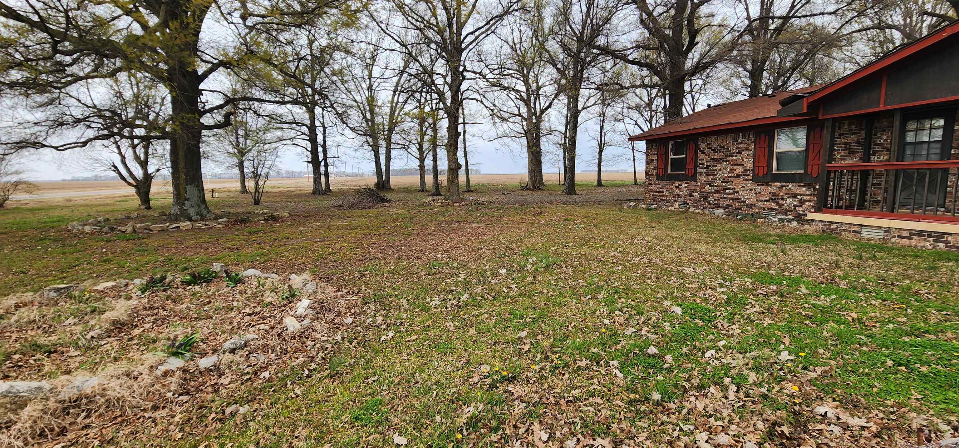 9126  Highway 90  Walnut Ridge, AR