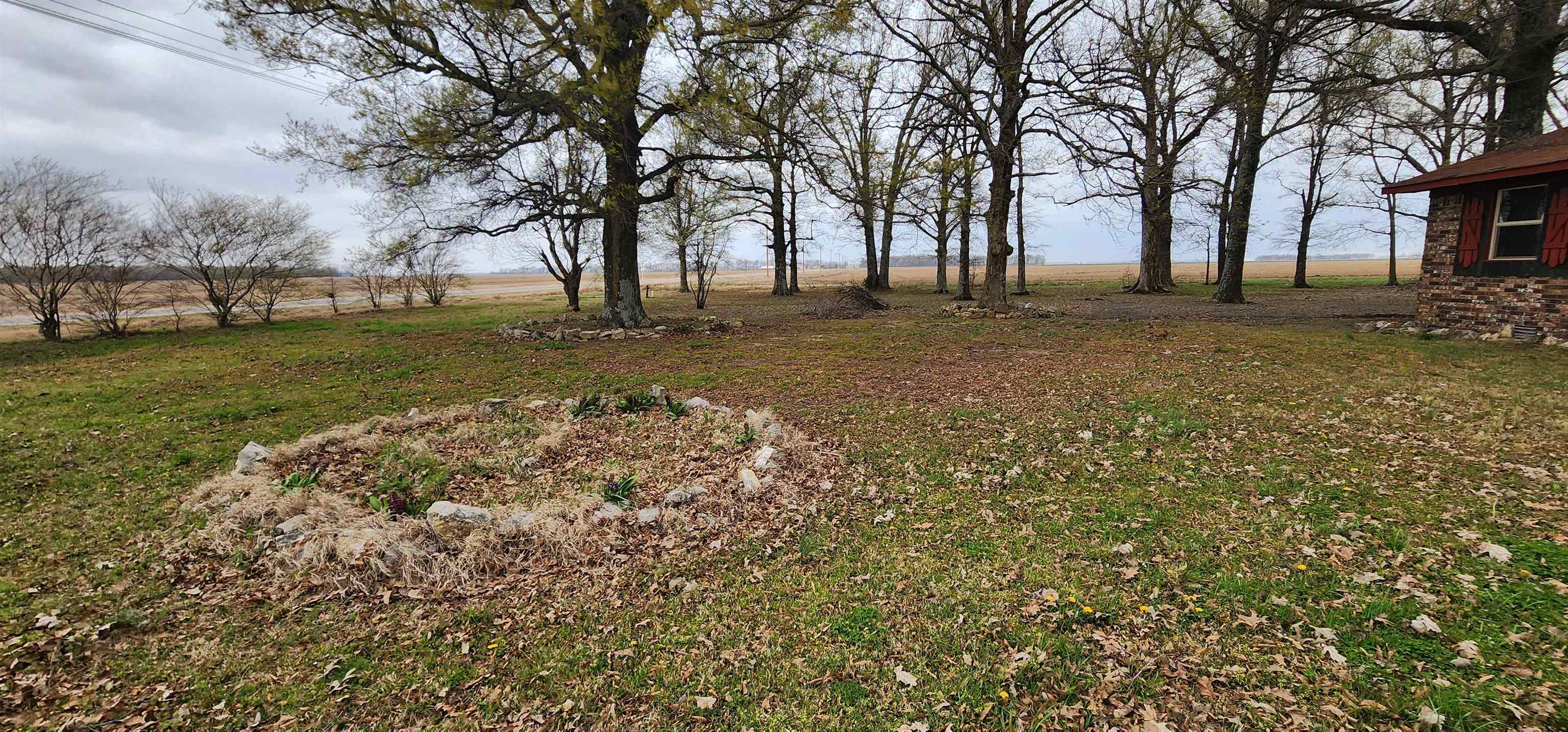 9126  Highway 90  Walnut Ridge, AR