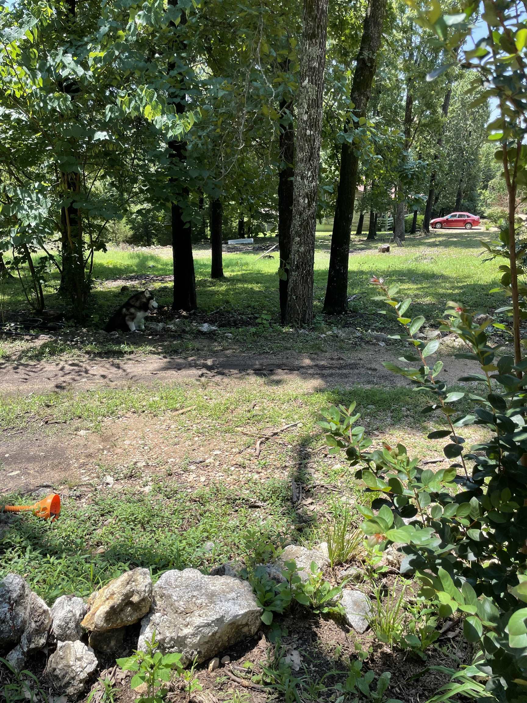 340 Griffin Road  Hardy, AR