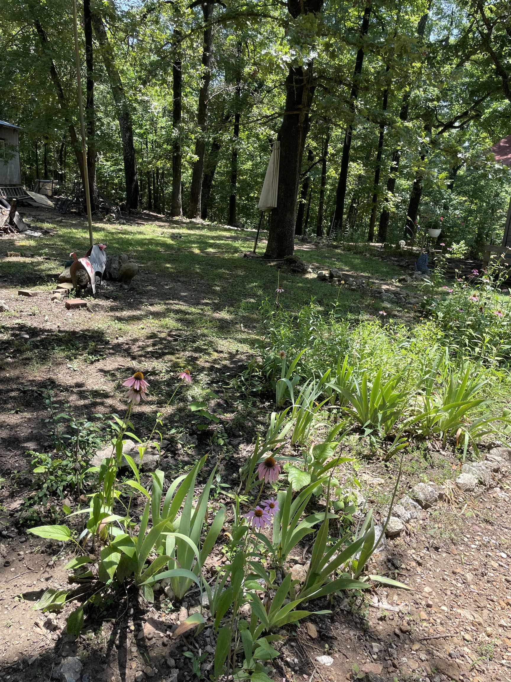 340 Griffin Road  Hardy, AR