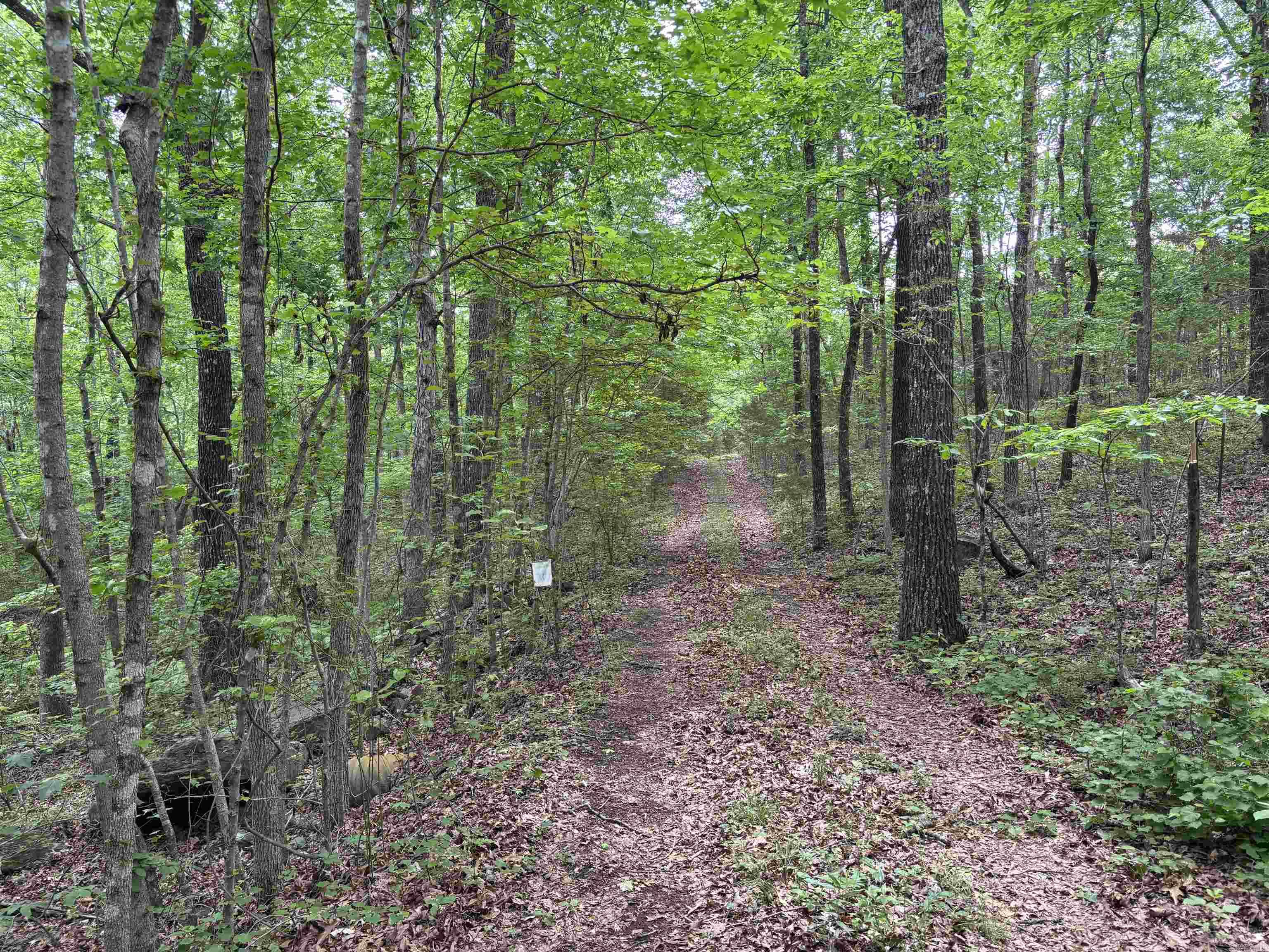 000  CR 197  Bradford, AR