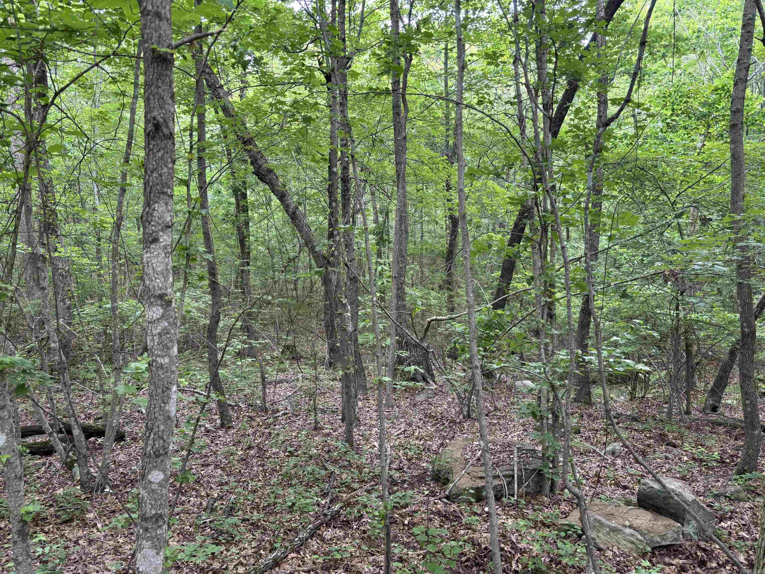 000  CR 197  Bradford, AR